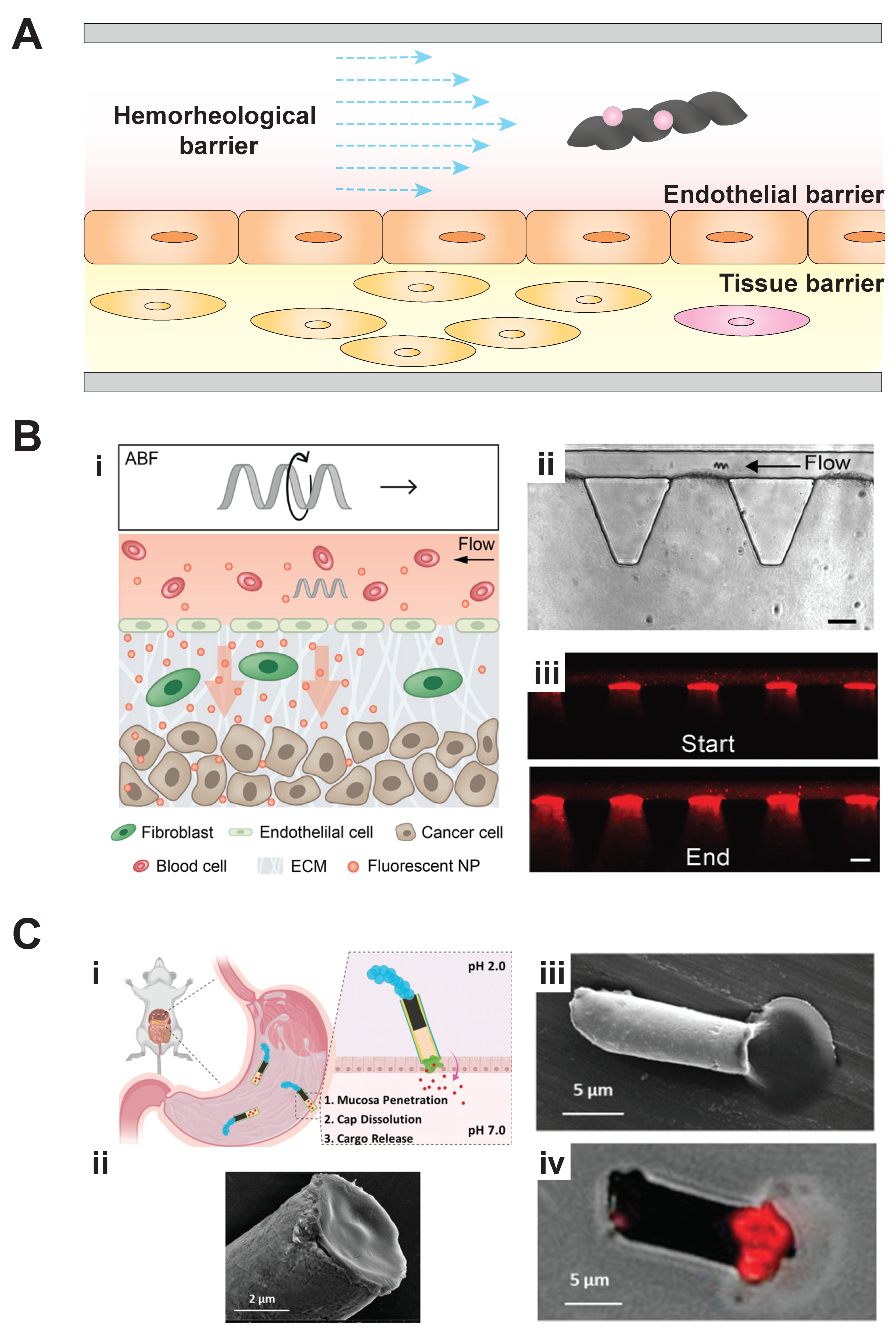 Micromachines 11 00947 g004 Micromachines 11 00947 g004