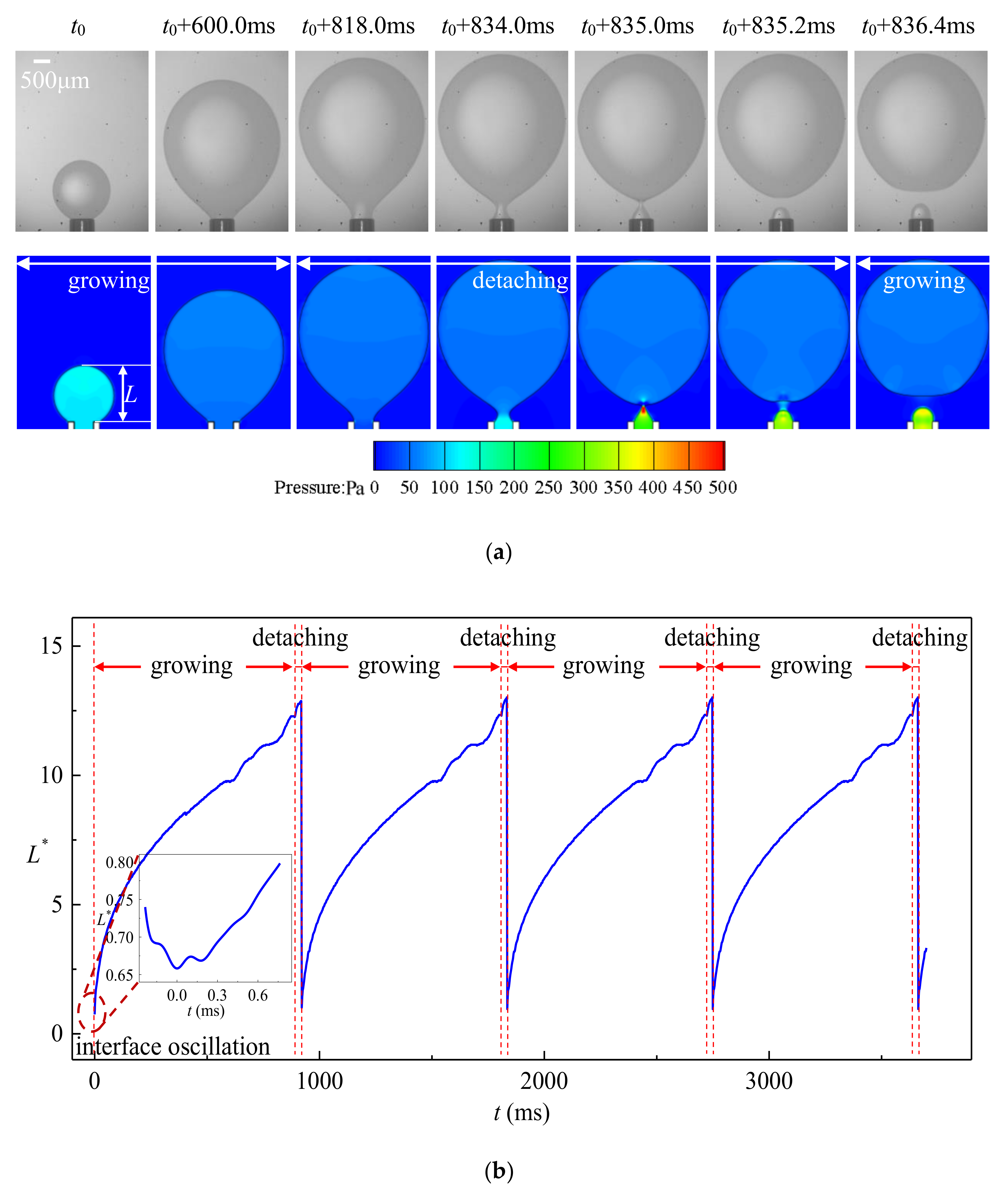 Micromachines 11 00962 g005