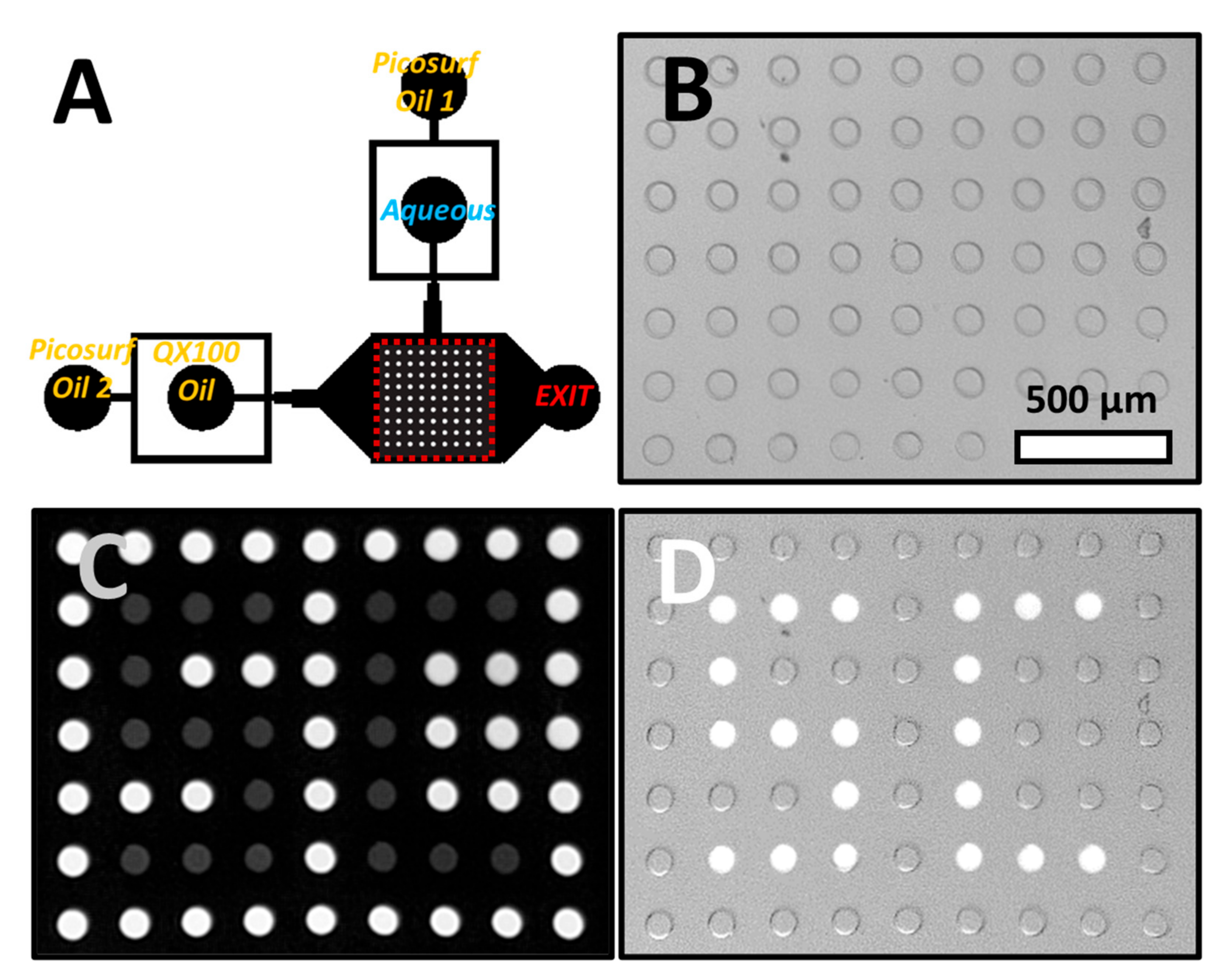 Micromachines 11 00964 g002
