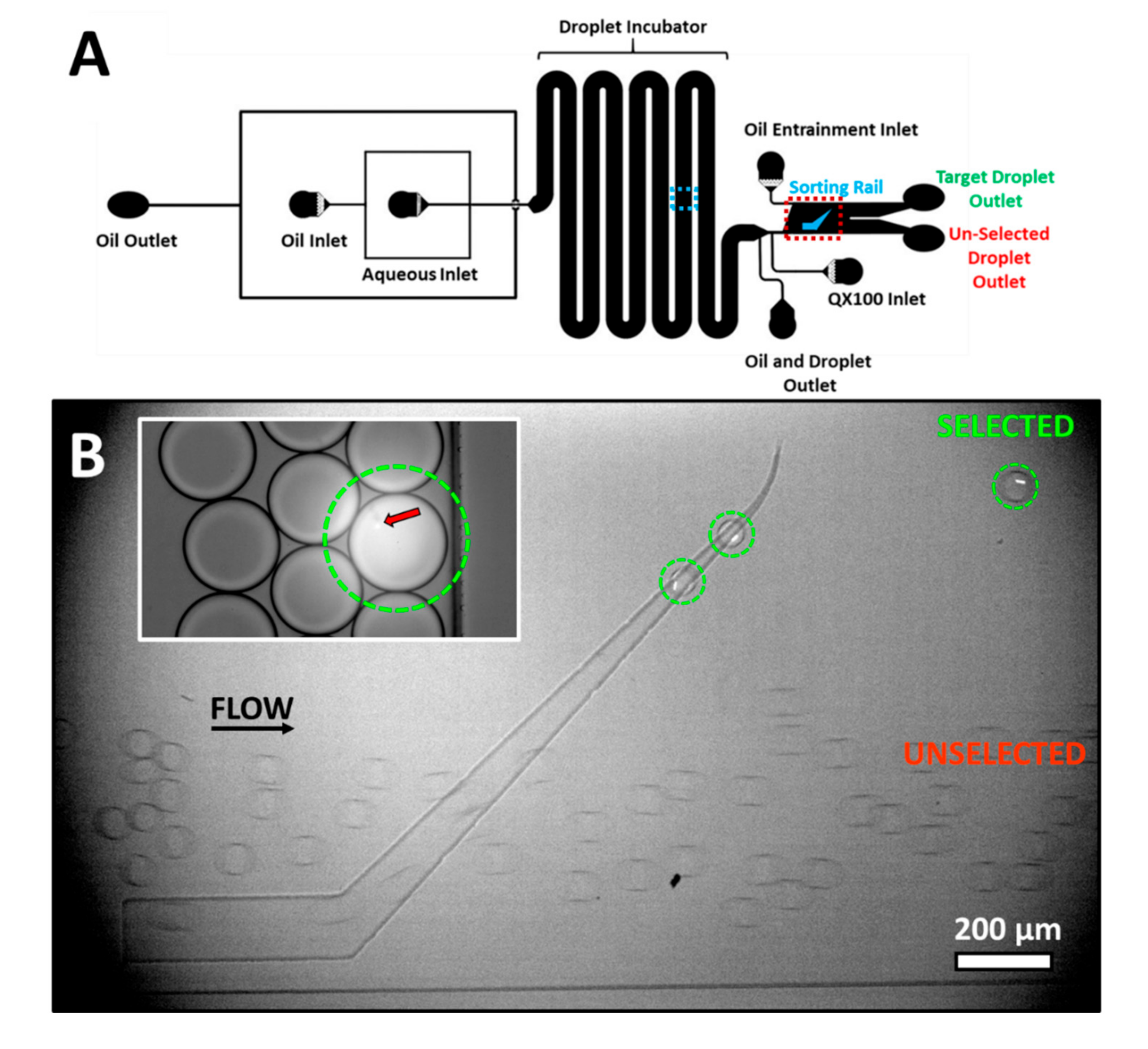 Micromachines 11 00964 g003