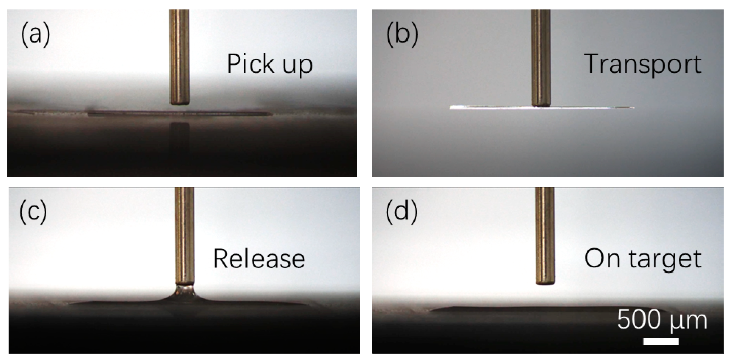 Micromachines 11 00973 g007