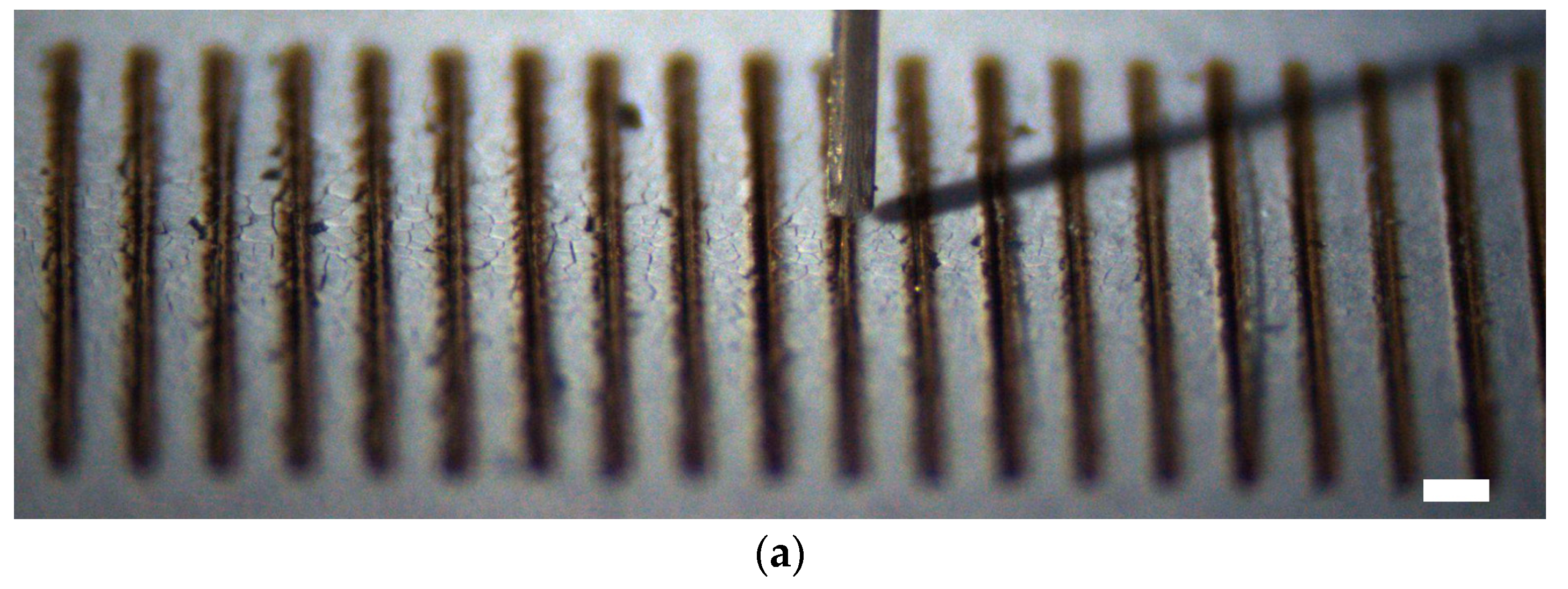 Micromachines 11 00973 g010a