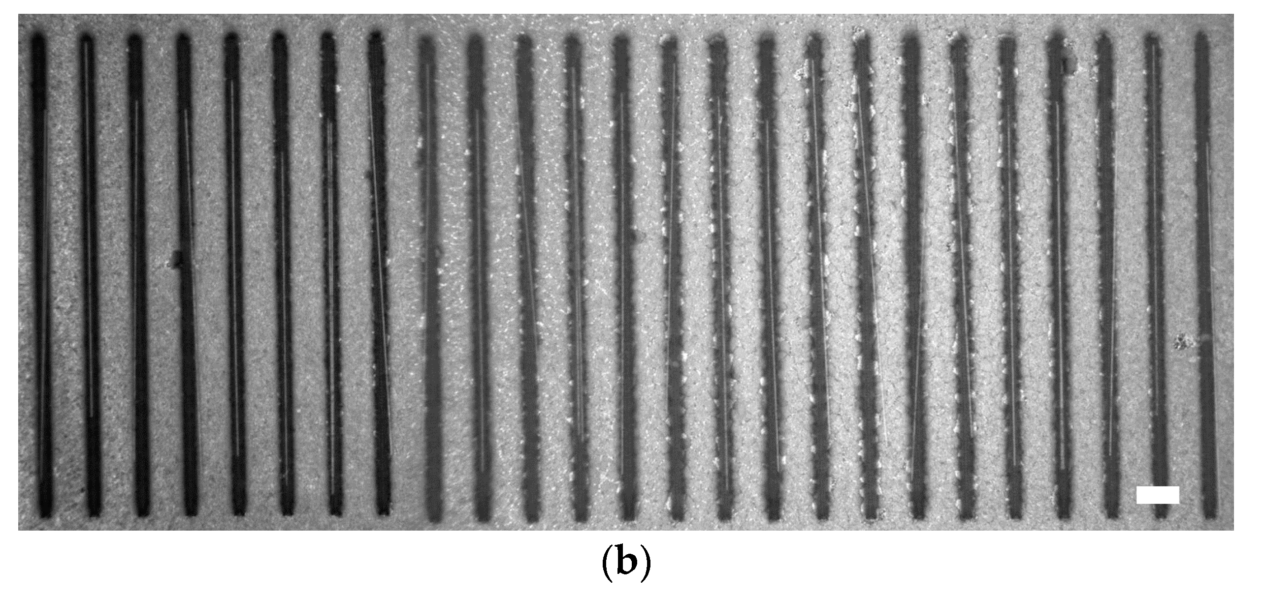 Micromachines 11 00973 g010b