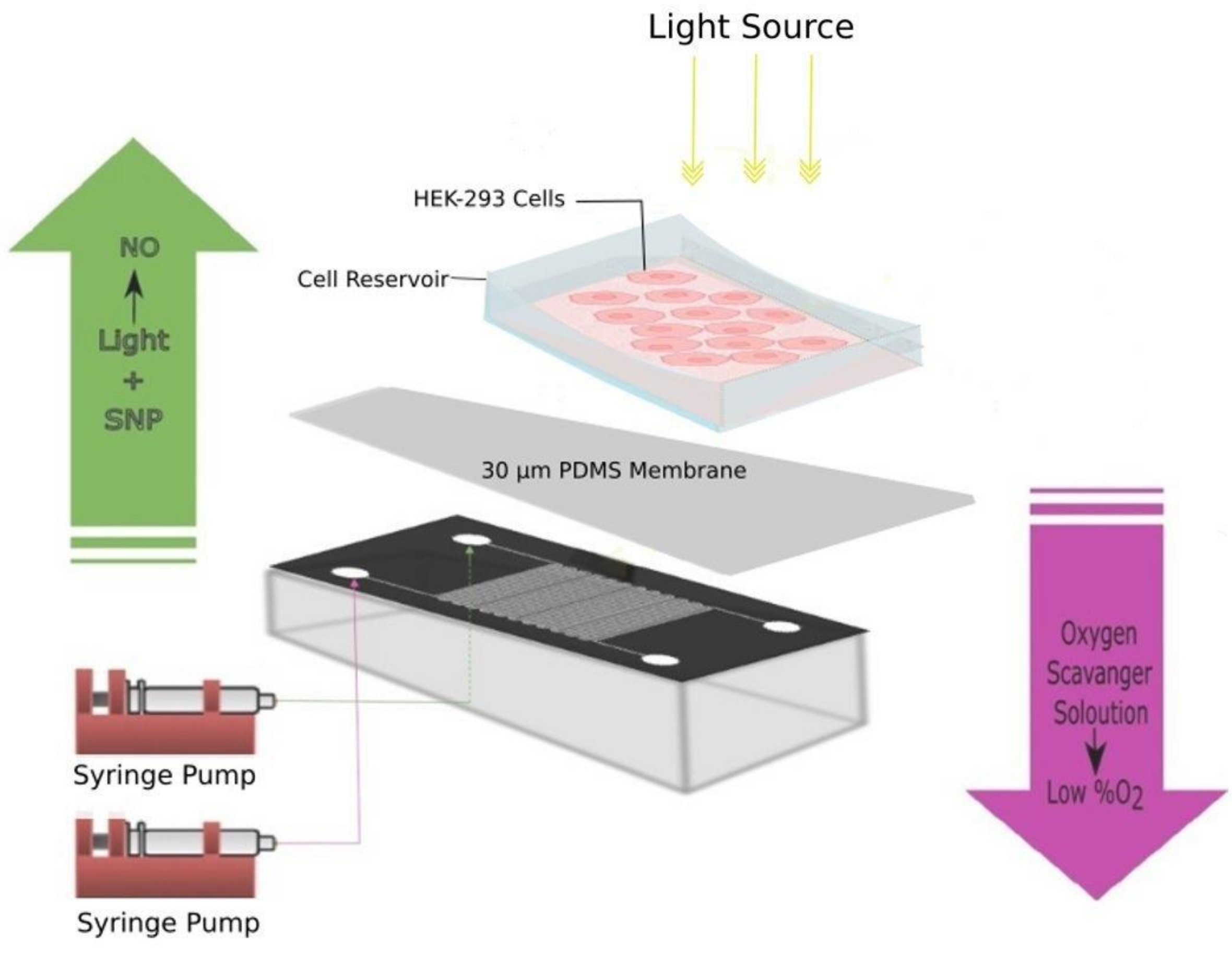 Micromachines 11 00979 g004 Micromachines 11 00979 g004
