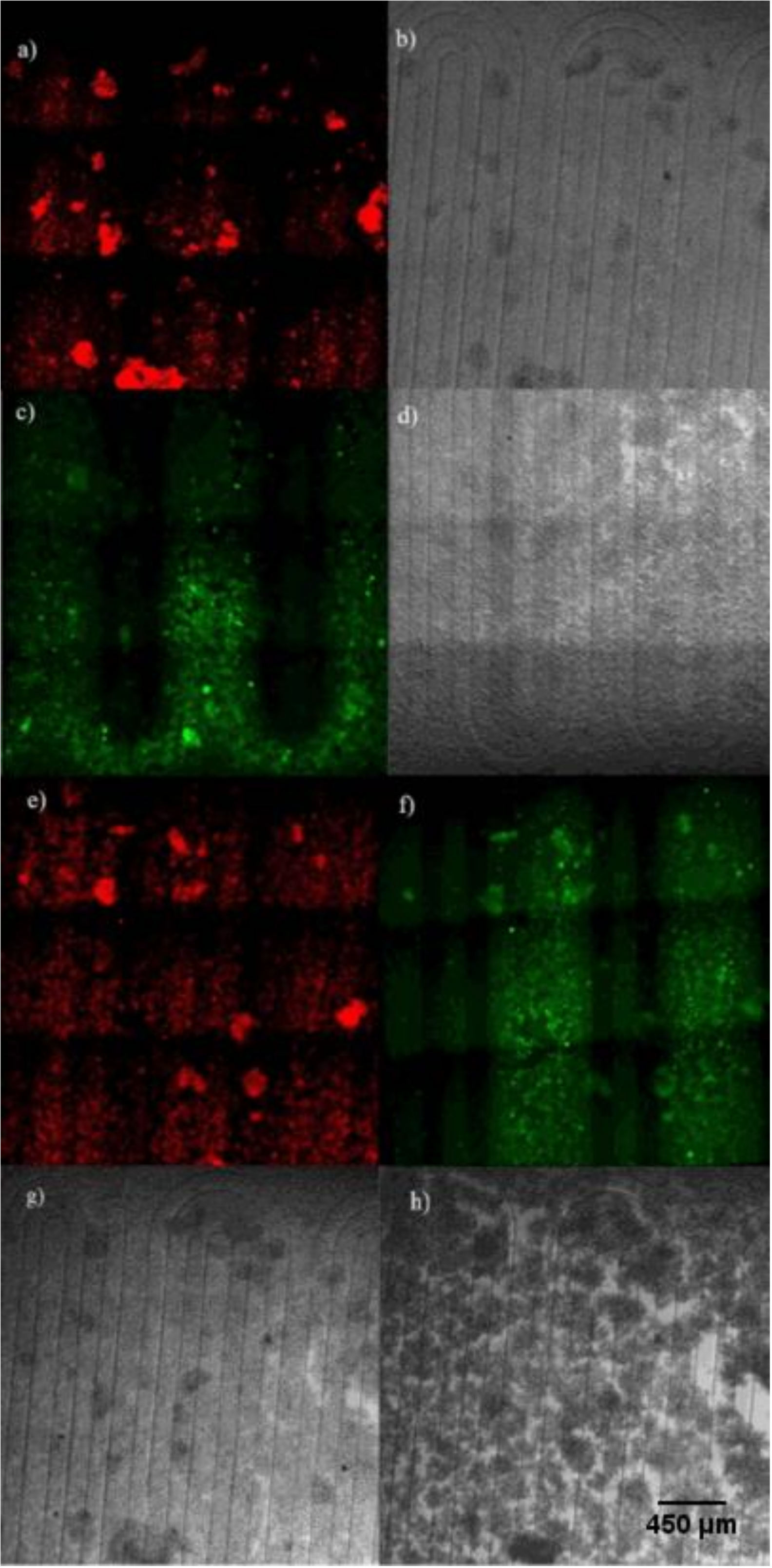 Micromachines 11 00979 g007 Micromachines 11 00979 g007