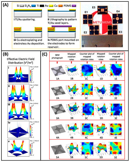 Micromachines Free Full Text A Prominent Cell Manipulation Technique In Biomems Dielectrophoresis Html