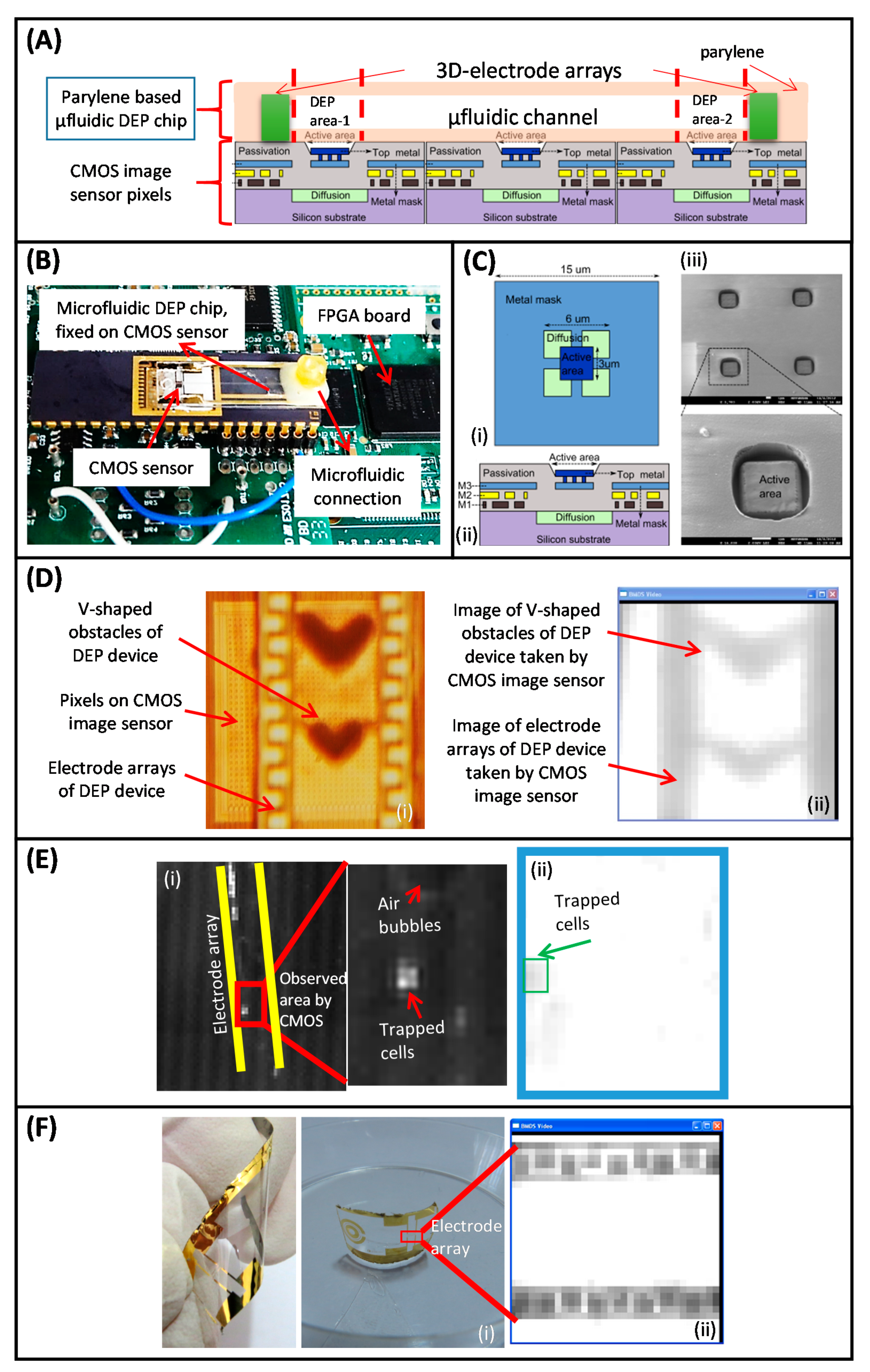 Micromachines Free Full Text A Prominent Cell Manipulation Technique In Biomems Dielectrophoresis Html