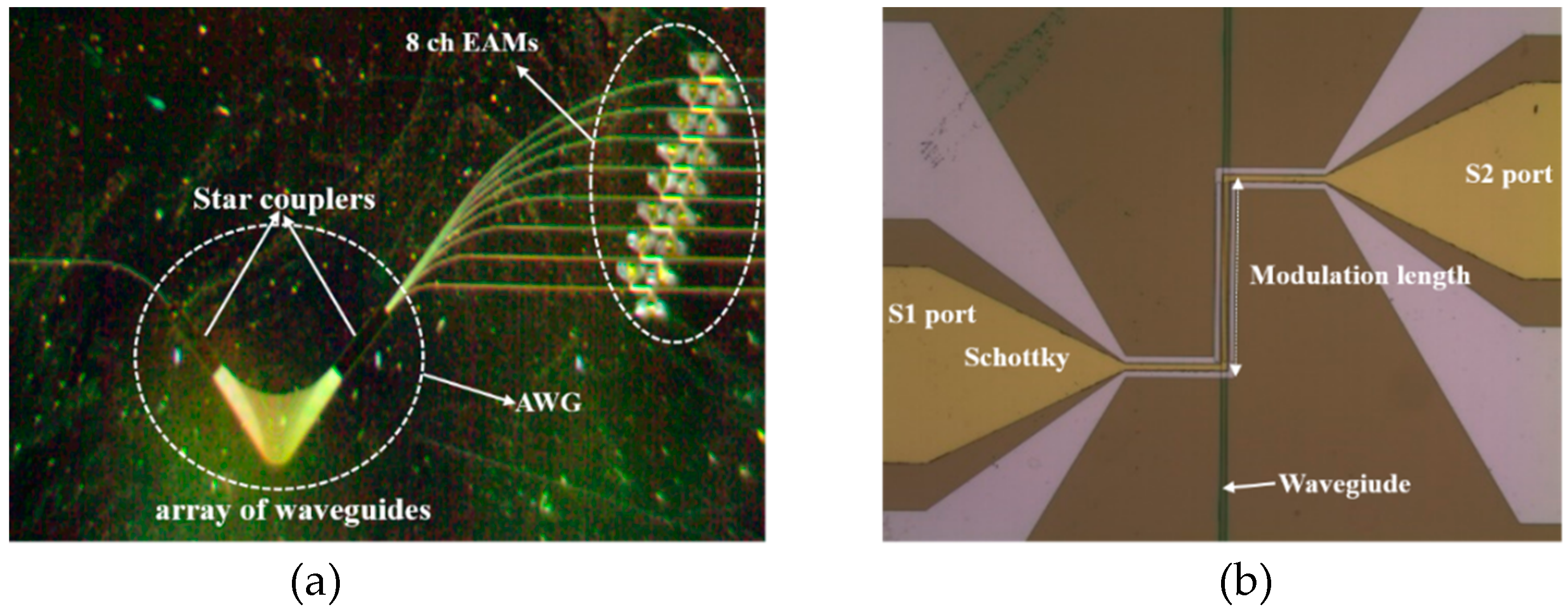 Micromachines 11 00991 g004