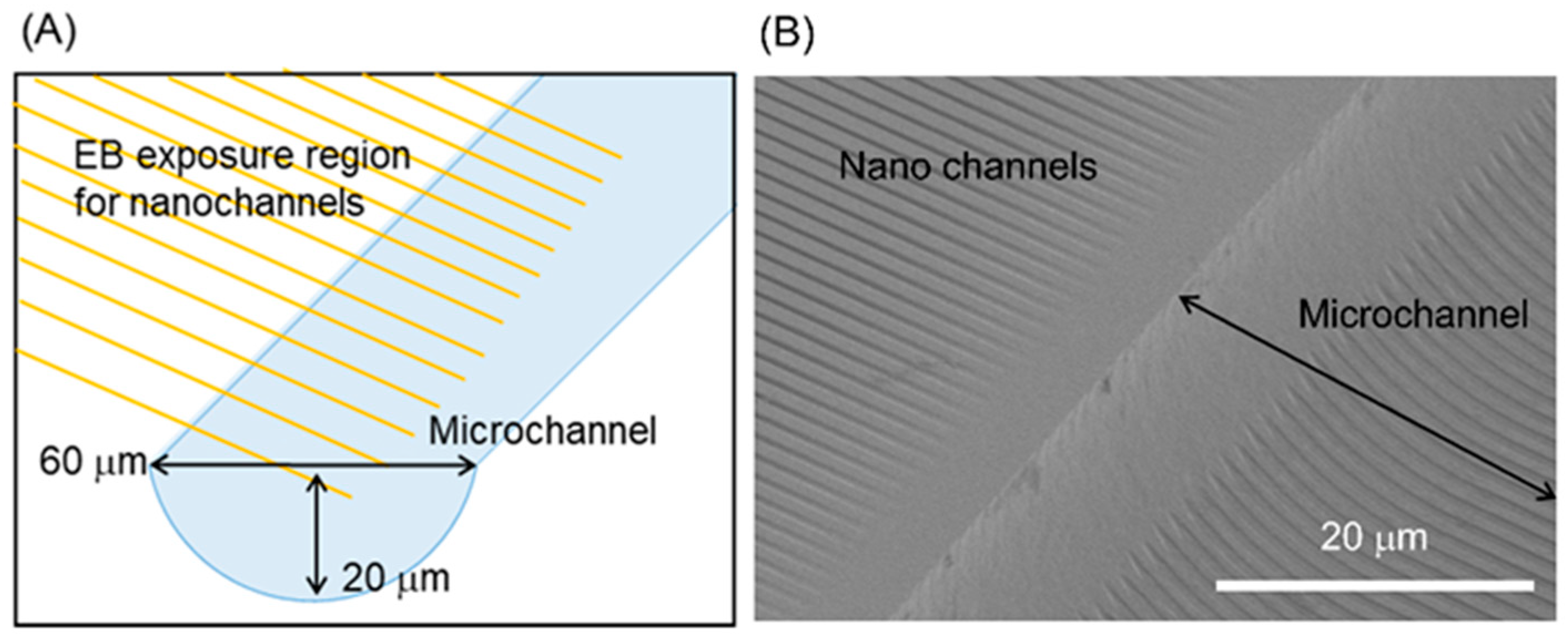 Micromachines 11 00995 g005