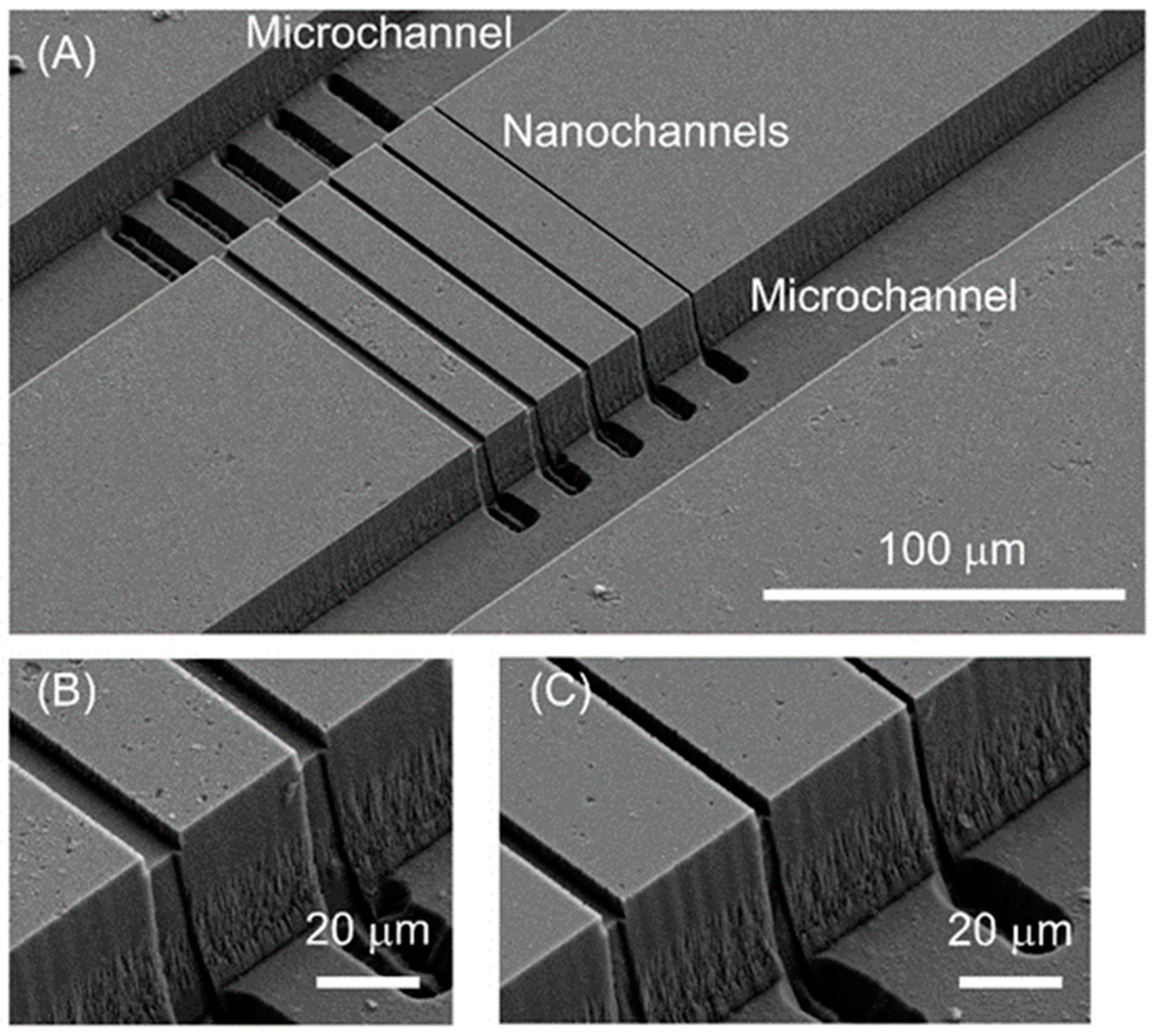 Micromachines 11 00995 g006