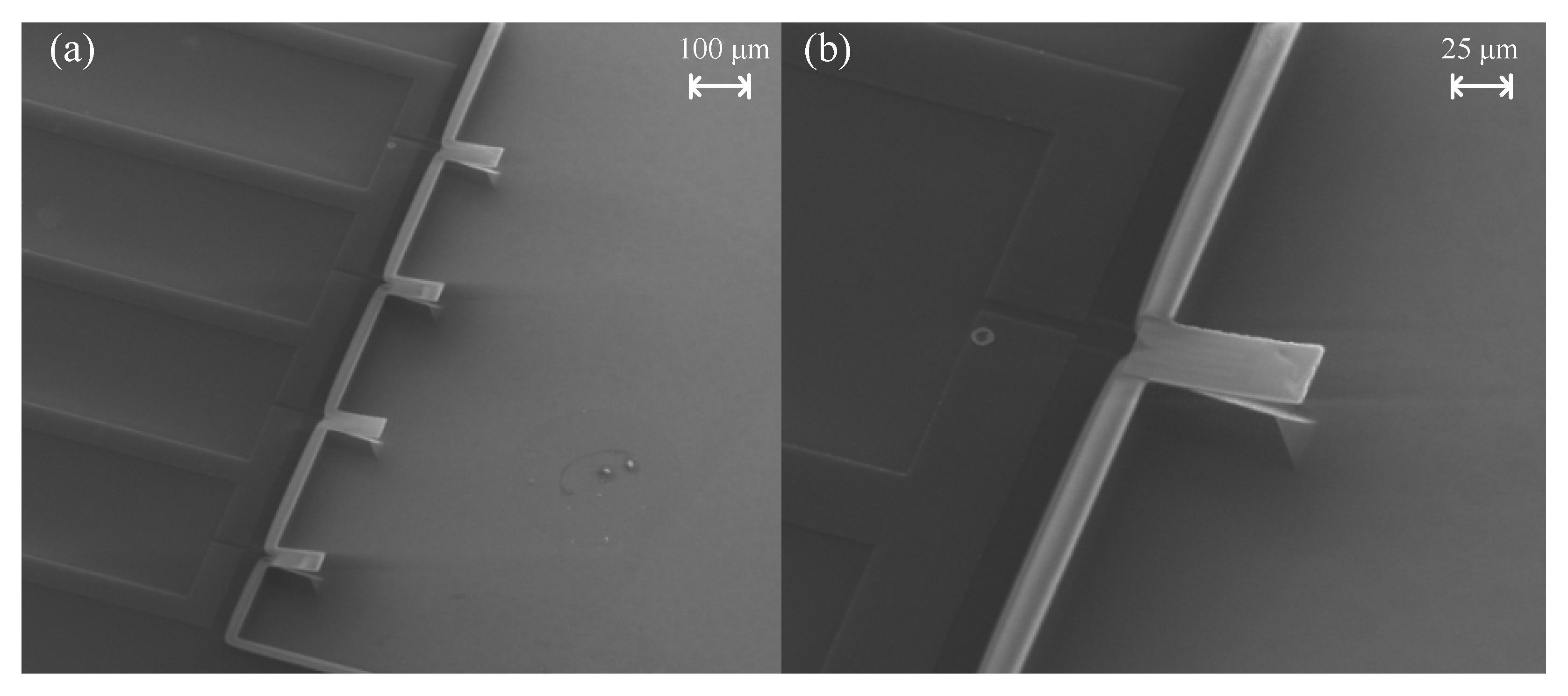 Micromachines 11 01001 g004 Micromachines 11 01001 g004