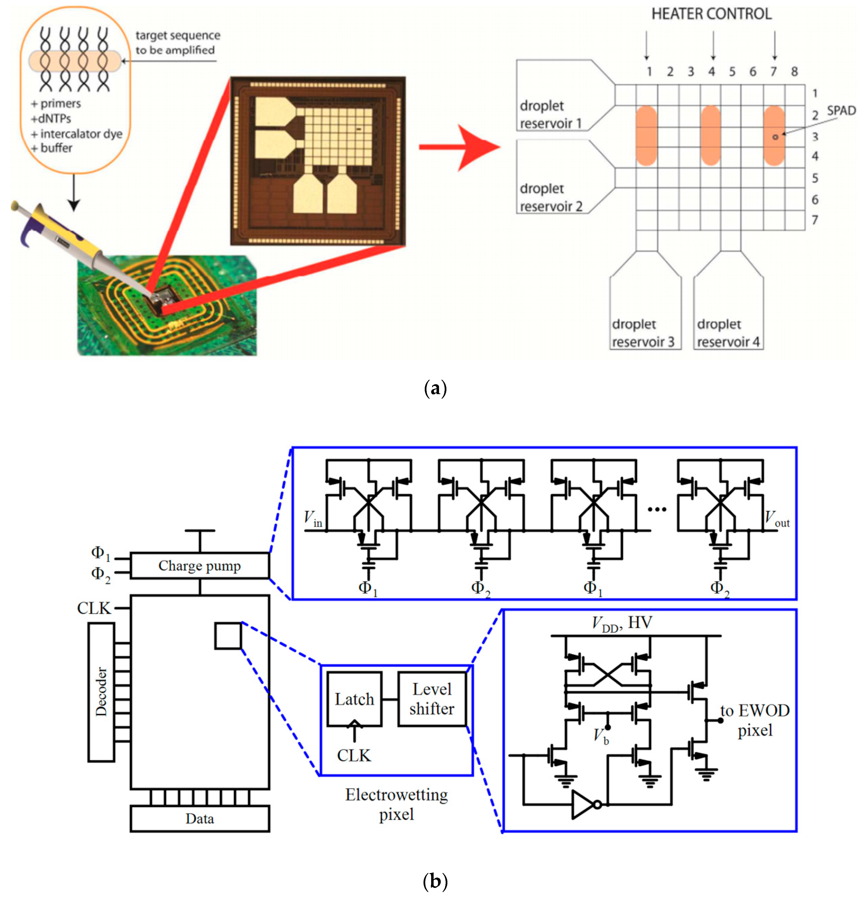 Micromachines 11 01003 g004