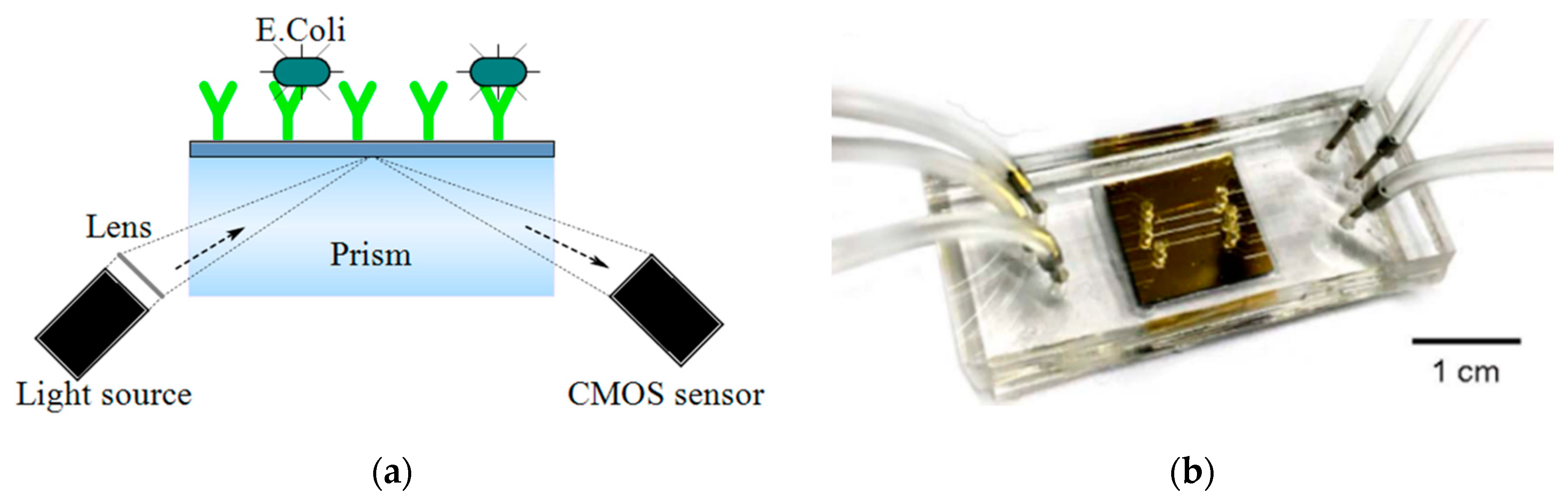Micromachines 11 01003 g008