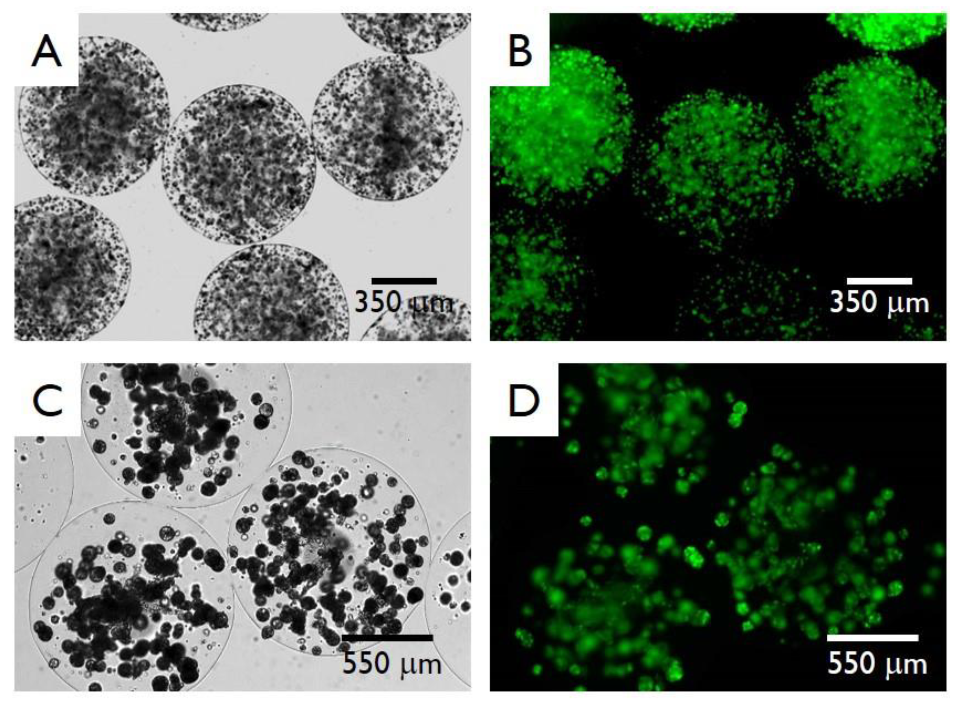 Micromachines 11 01007 g010