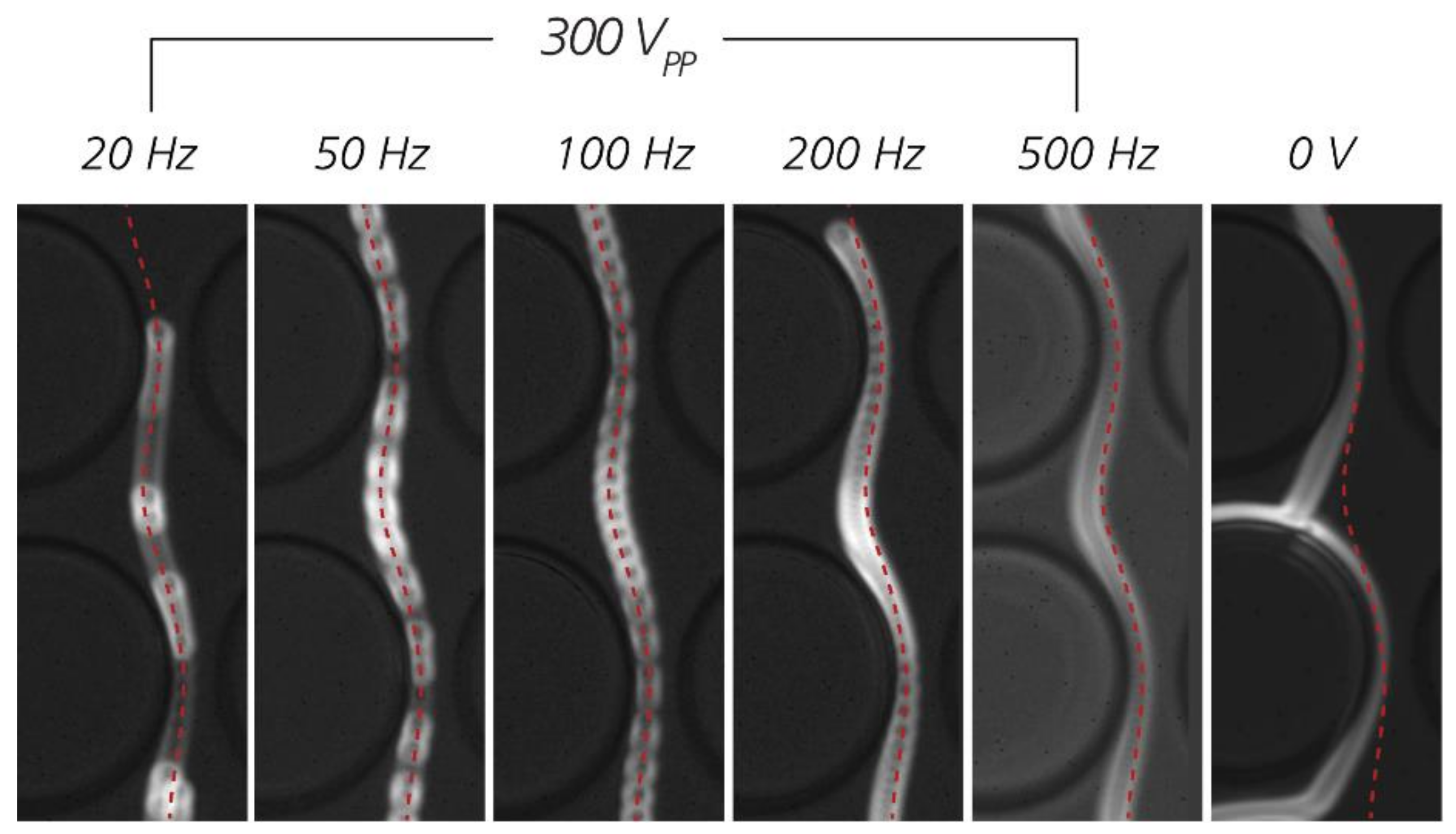 Micromachines 11 01014 g008