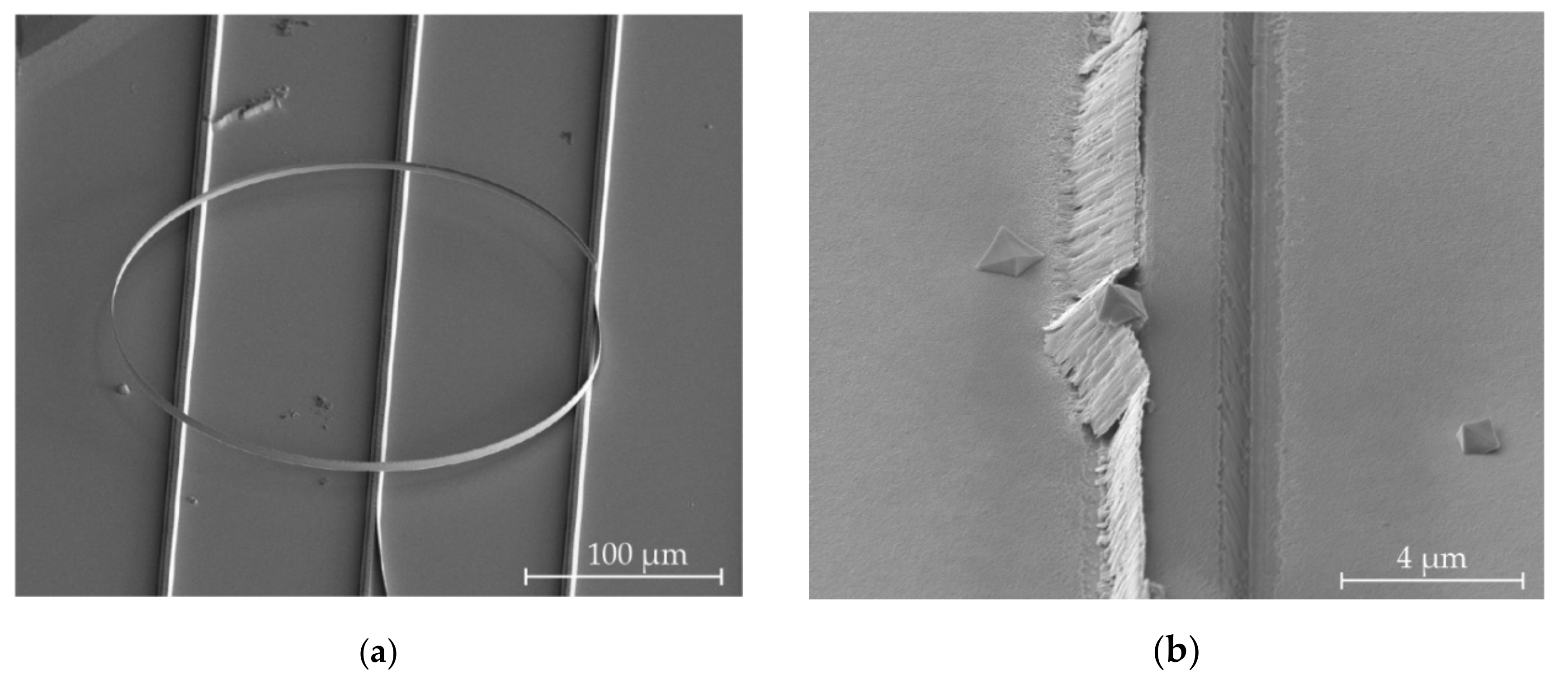 Micromachines 11 01033 g007a