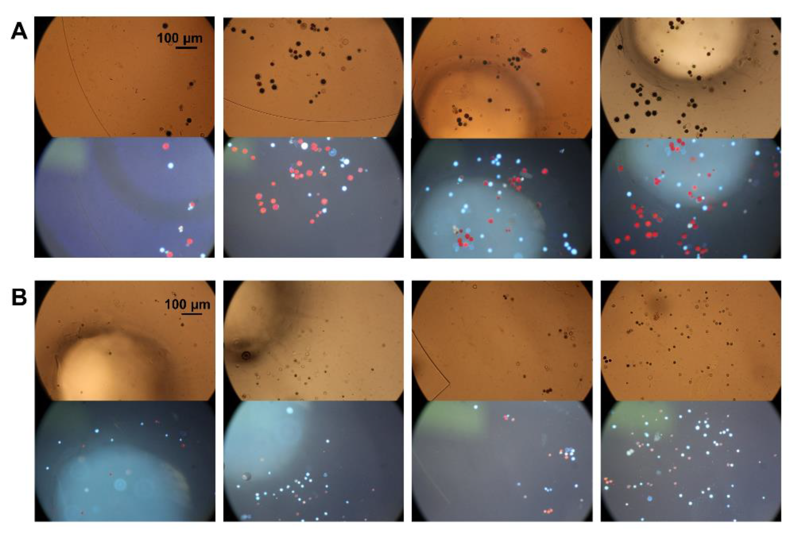 Micromachines 11 01037 g009