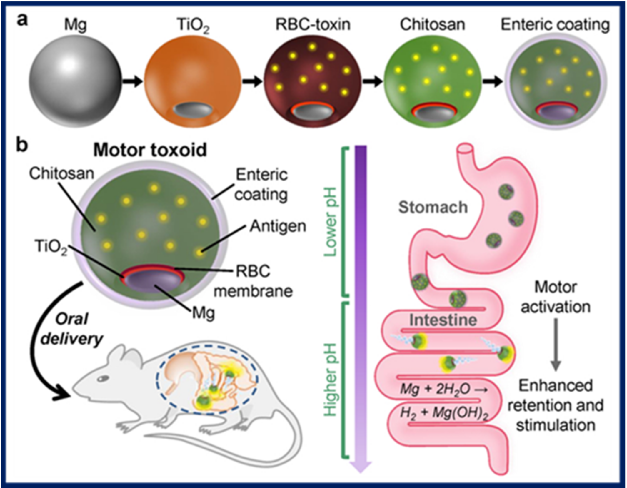 Micromachines 11 01048 g005 Micromachines 11 01048 g005