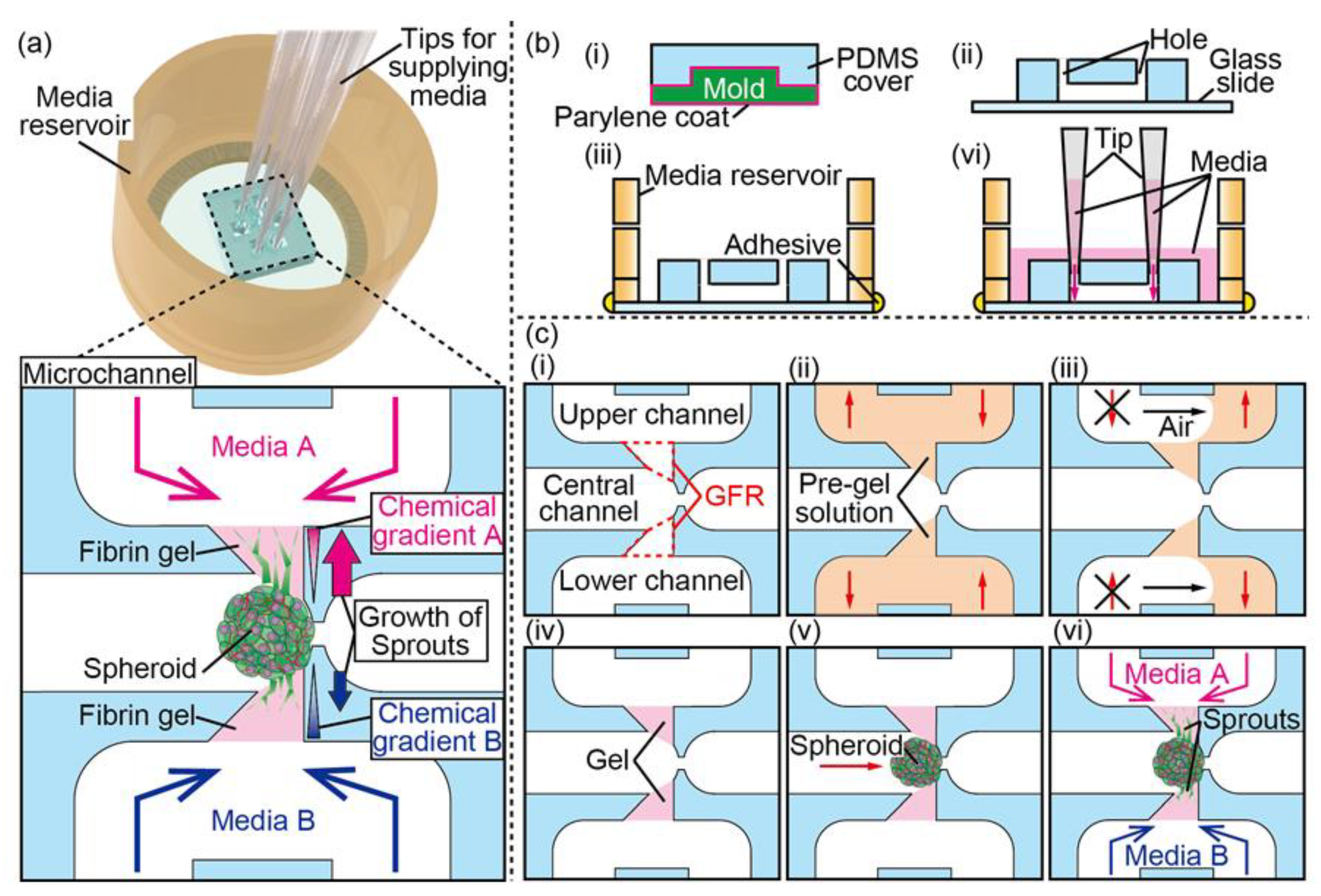 Micromachines 11 01049 g001 Micromachines 11 01049 g001