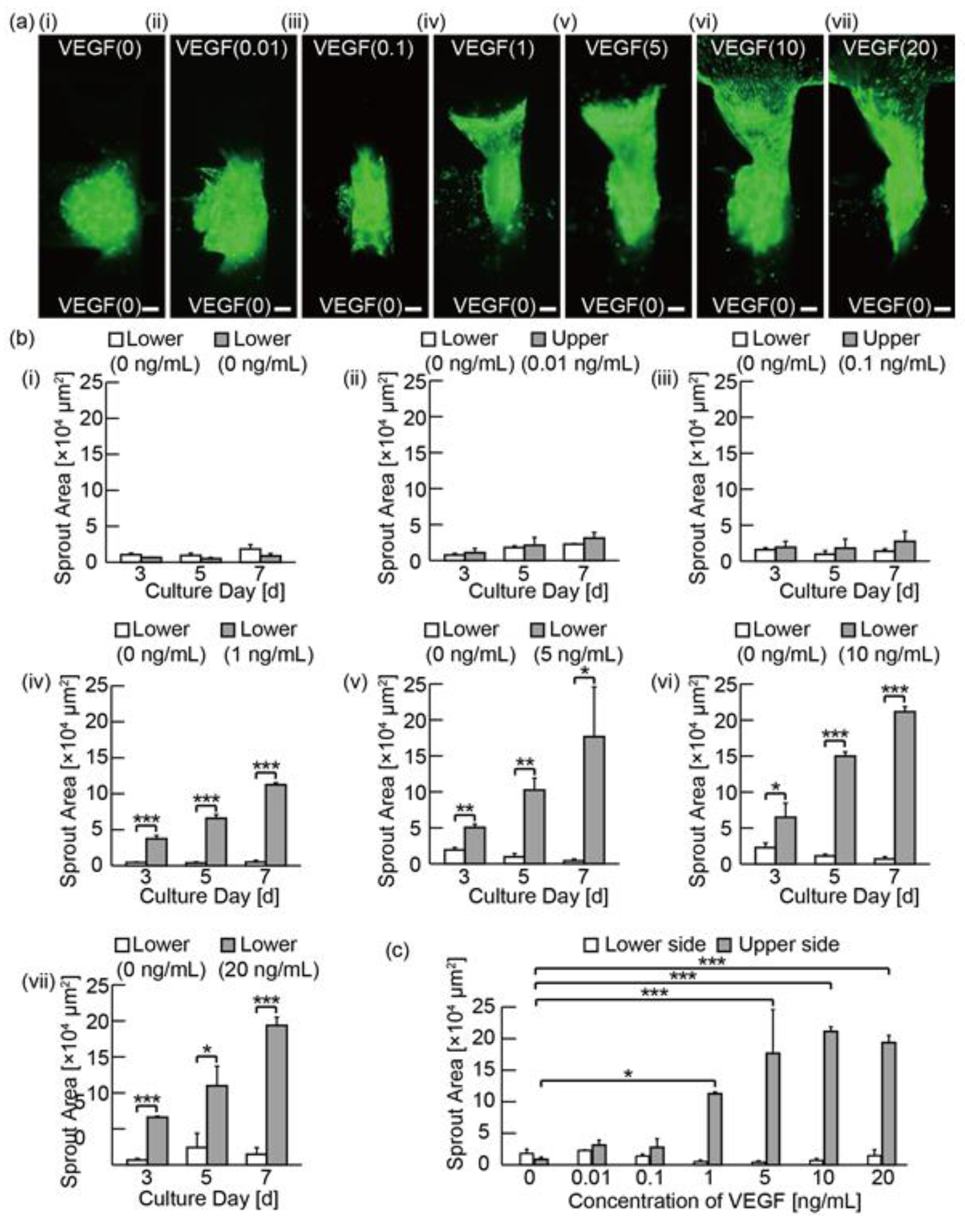 Micromachines 11 01049 g004 Micromachines 11 01049 g004