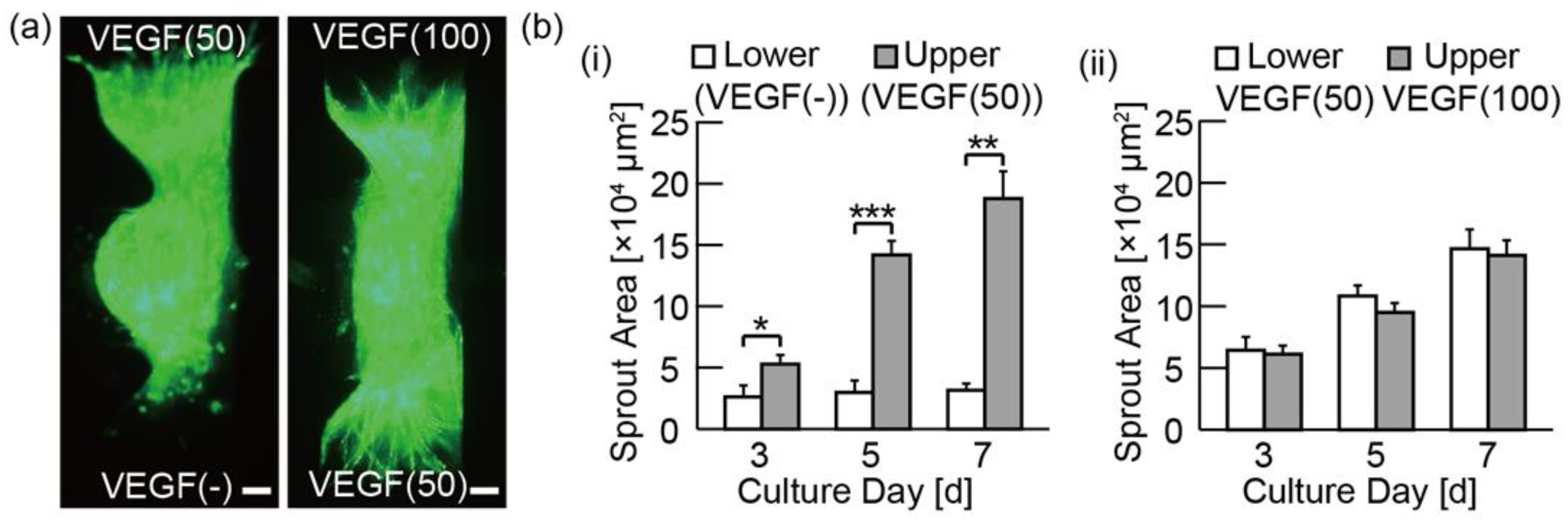 Micromachines 11 01049 g006 Micromachines 11 01049 g006