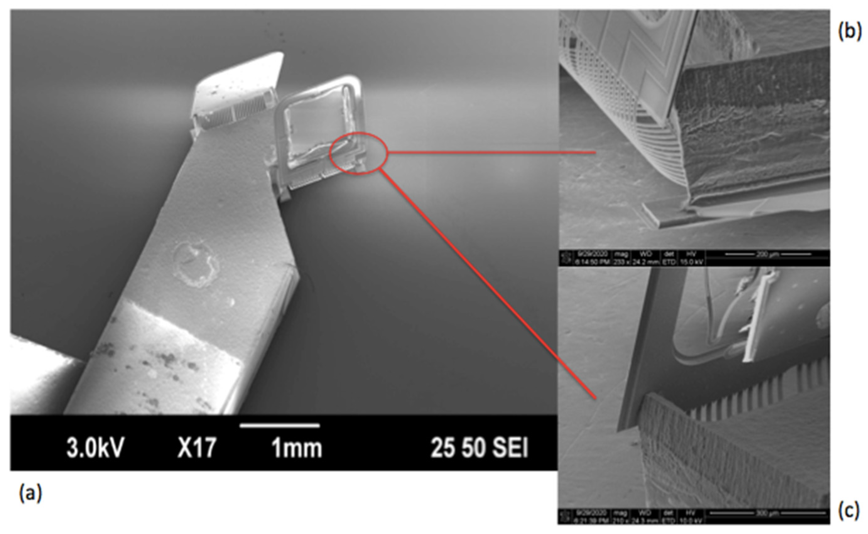 Micromachines 11 01051 g009