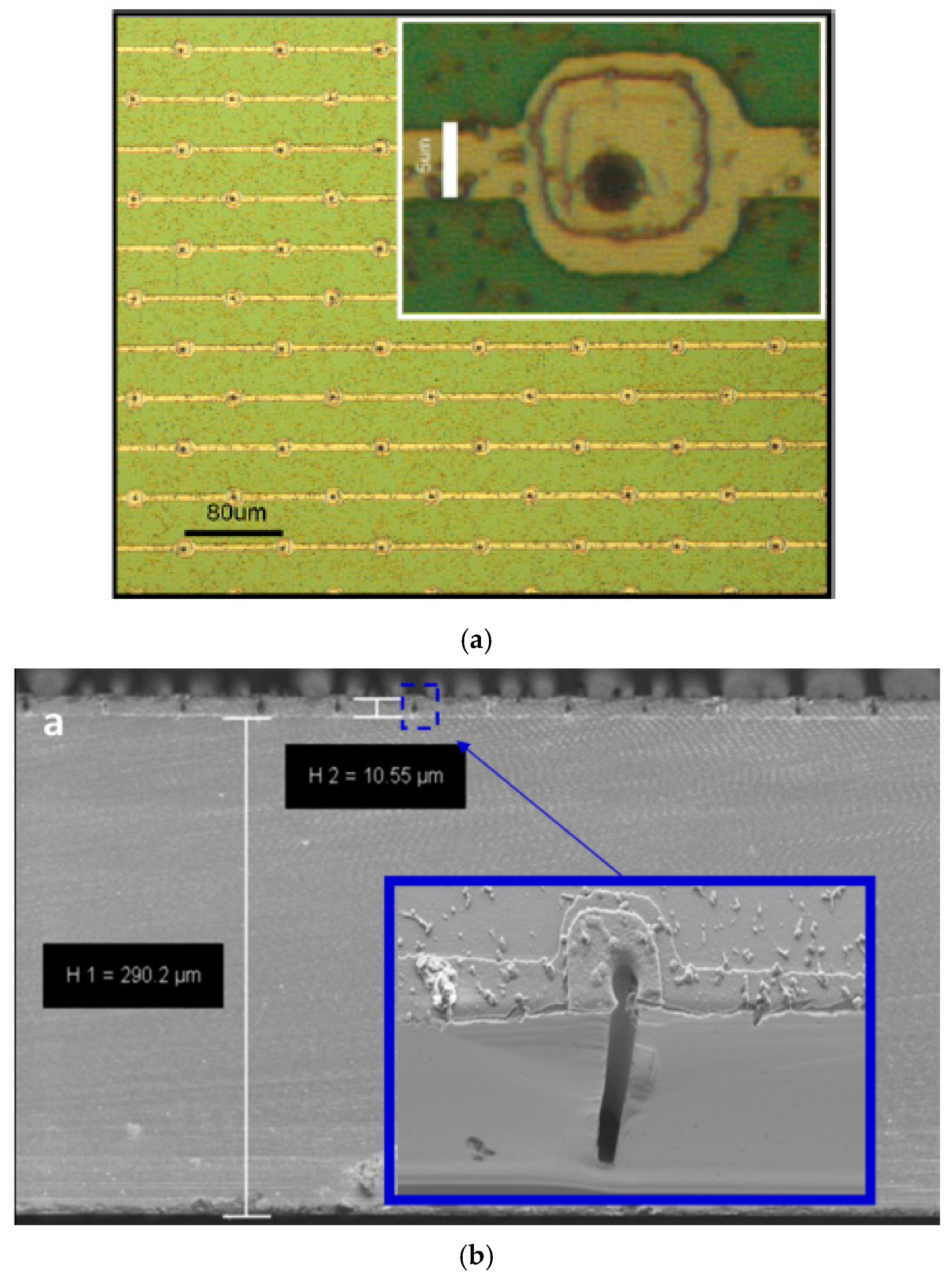 Micromachines 11 01053 g003 Micromachines 11 01053 g003