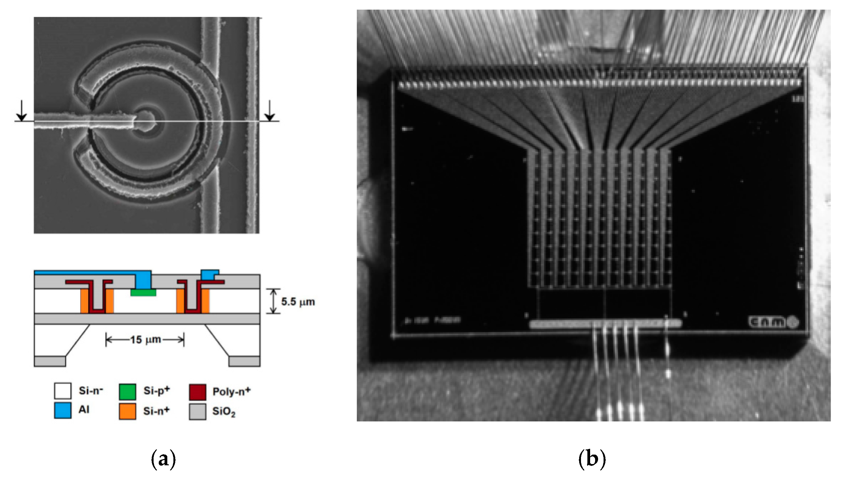 Micromachines 11 01053 g006 Micromachines 11 01053 g006