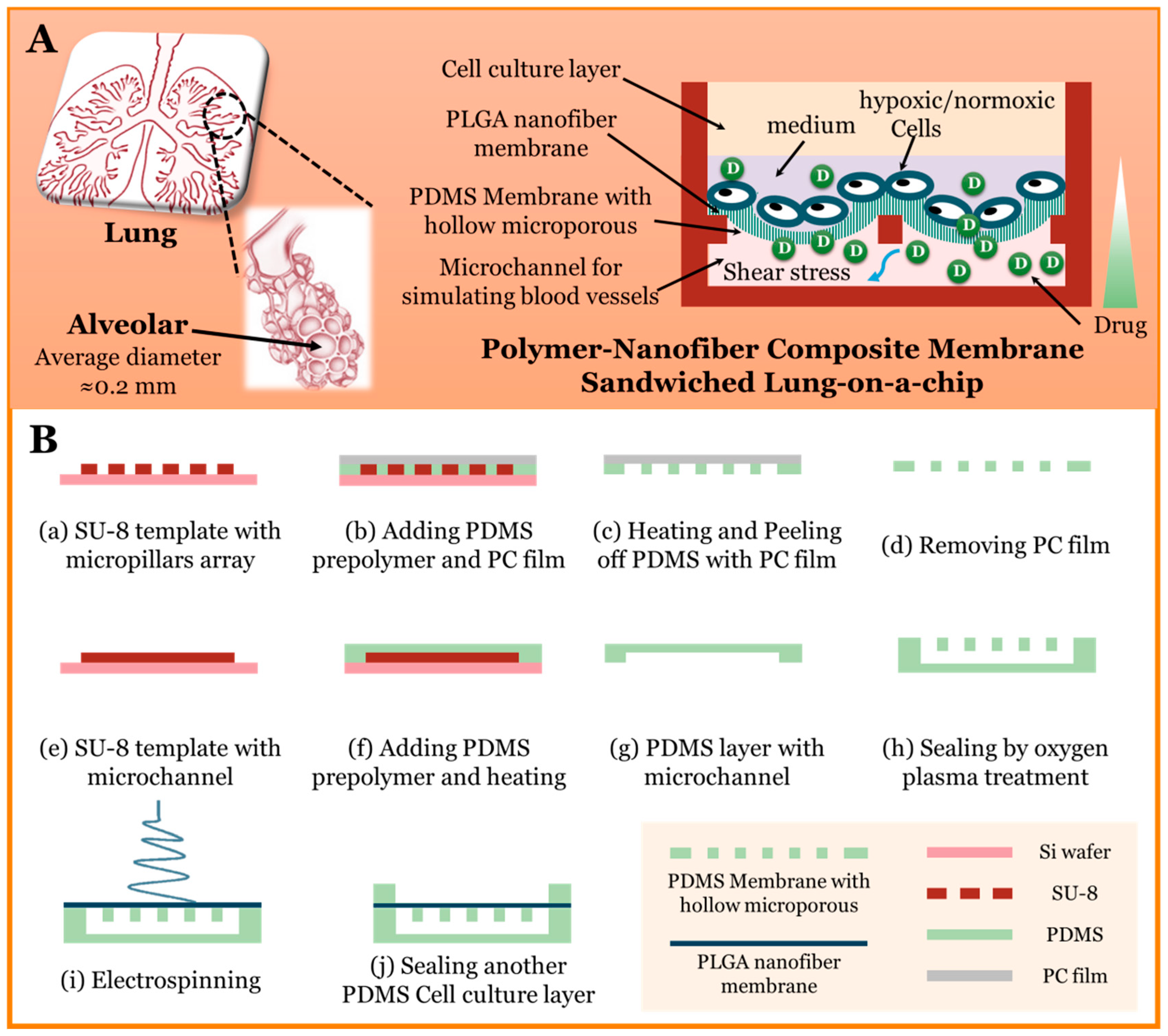 Micromachines 11 01054 g001