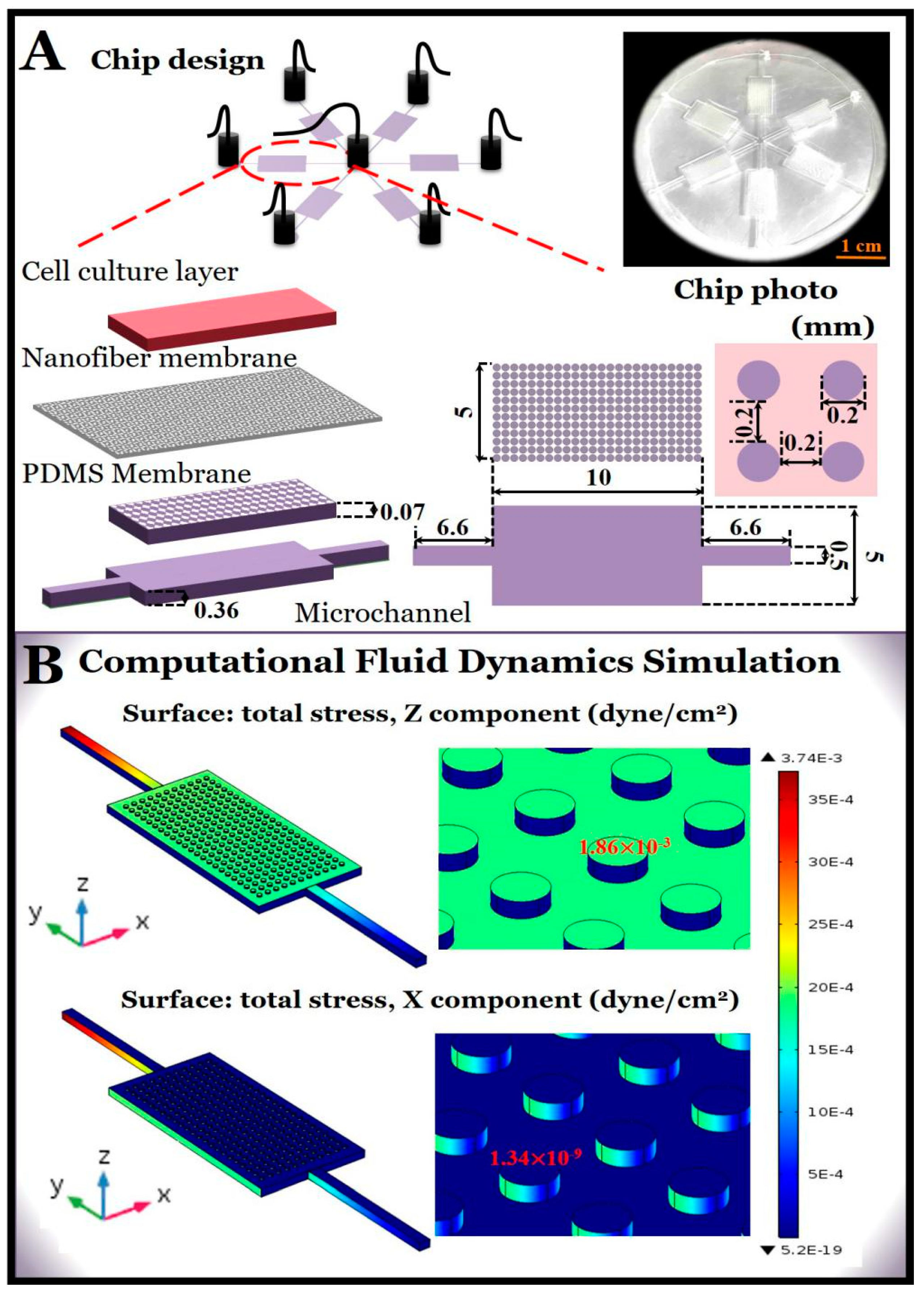 Micromachines 11 01054 g002