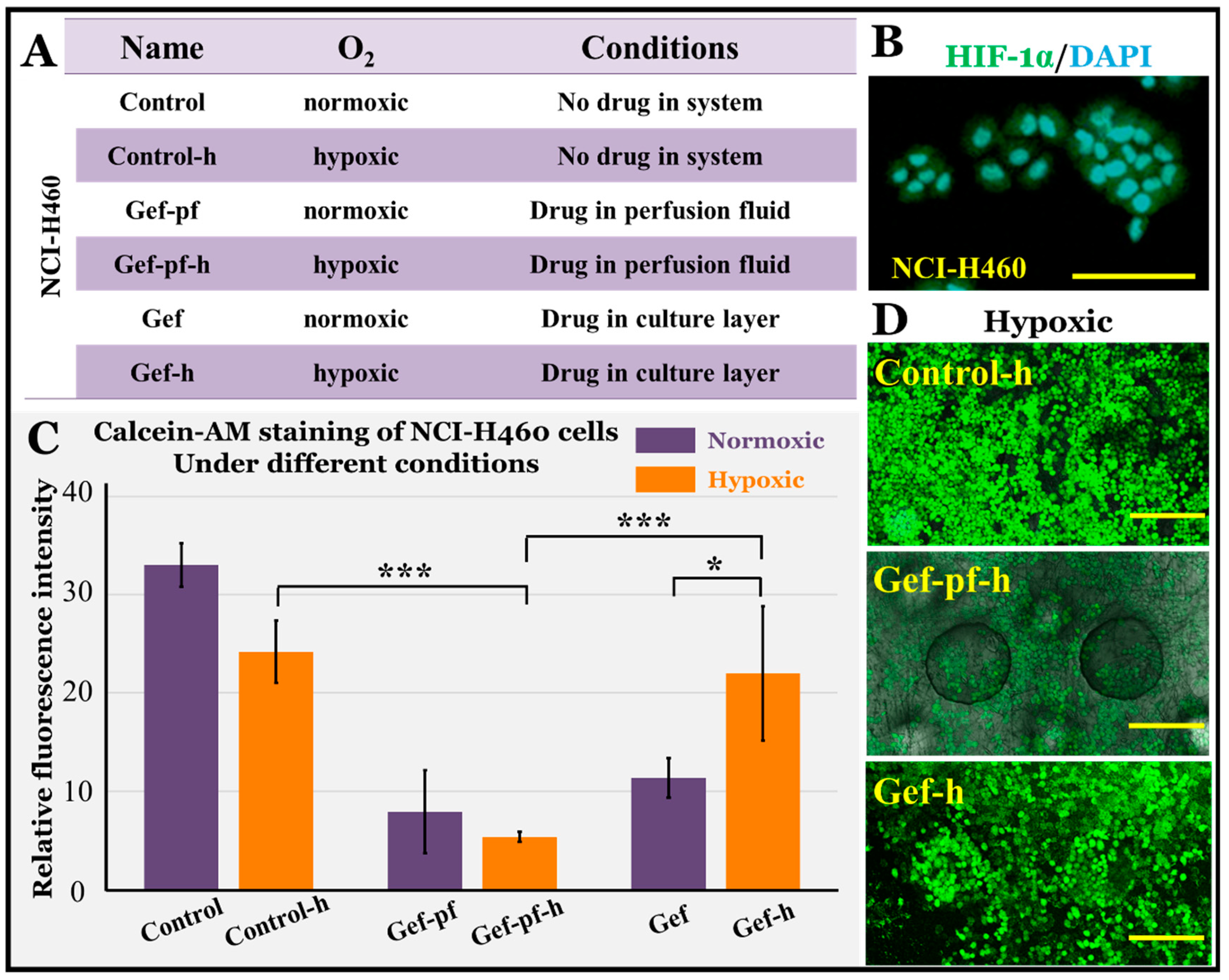 Micromachines 11 01054 g006