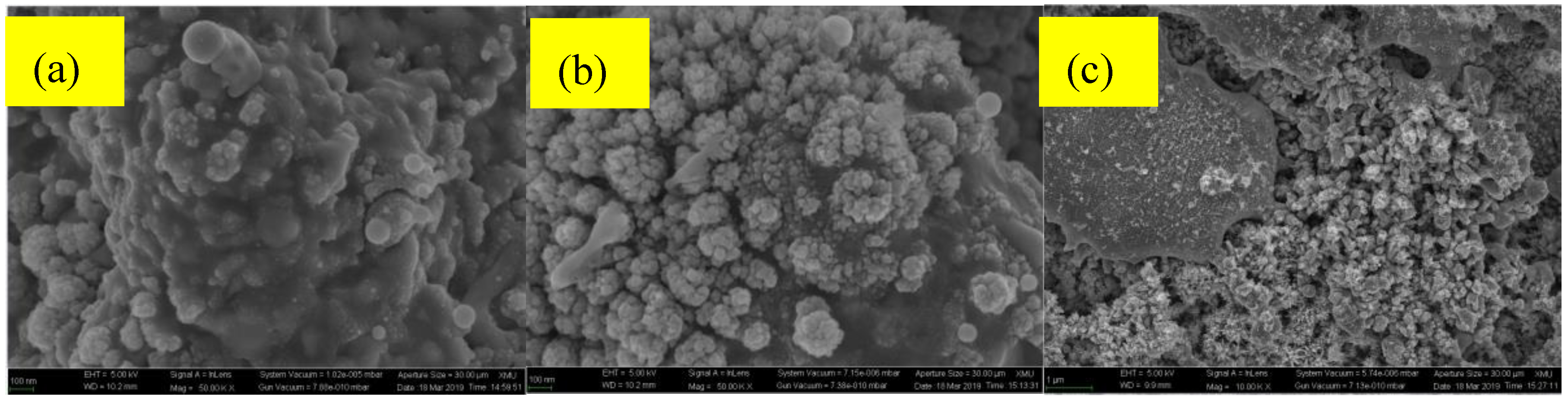 Micromachines 11 01057 g005 Micromachines 11 01057 g005