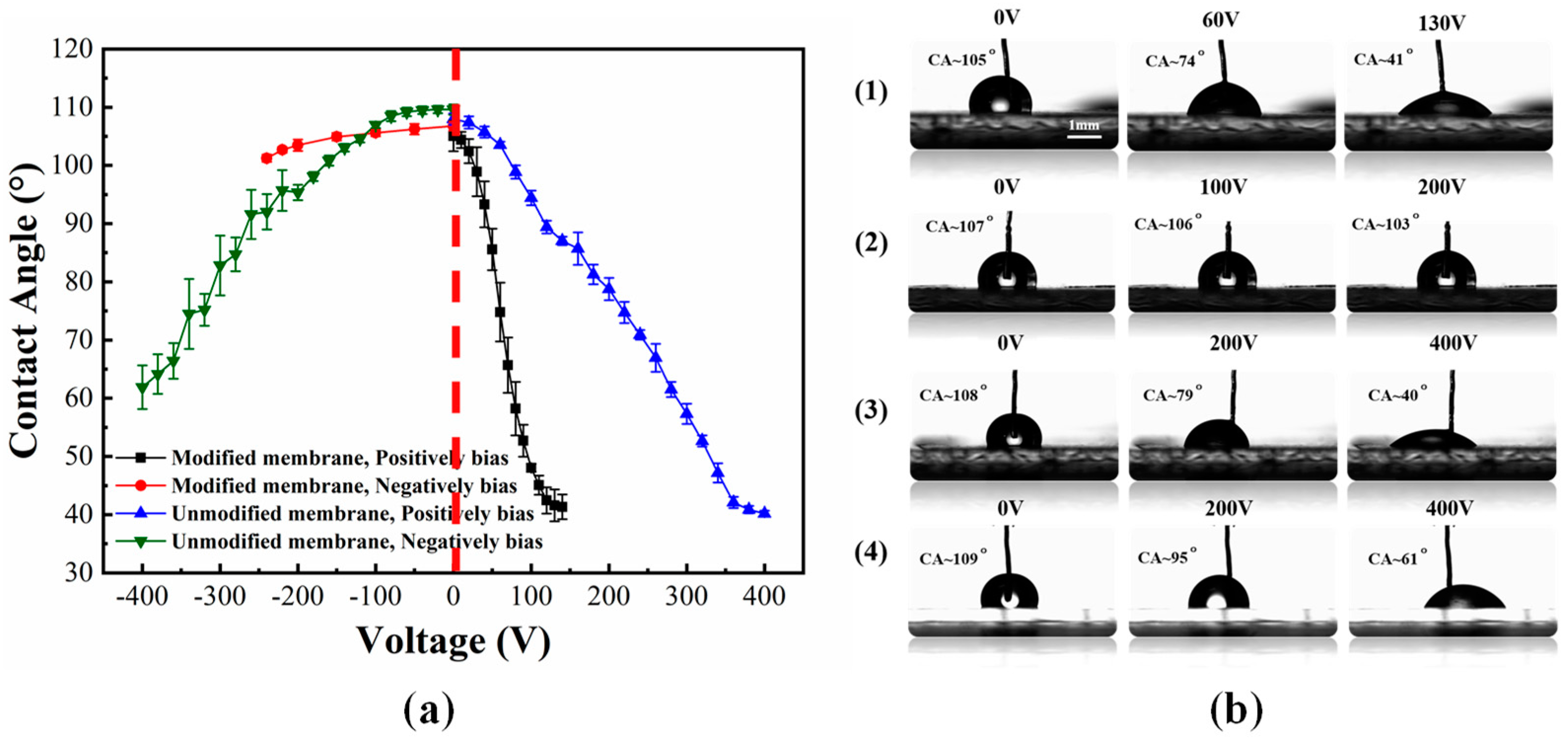 Micromachines 11 01067 g003
