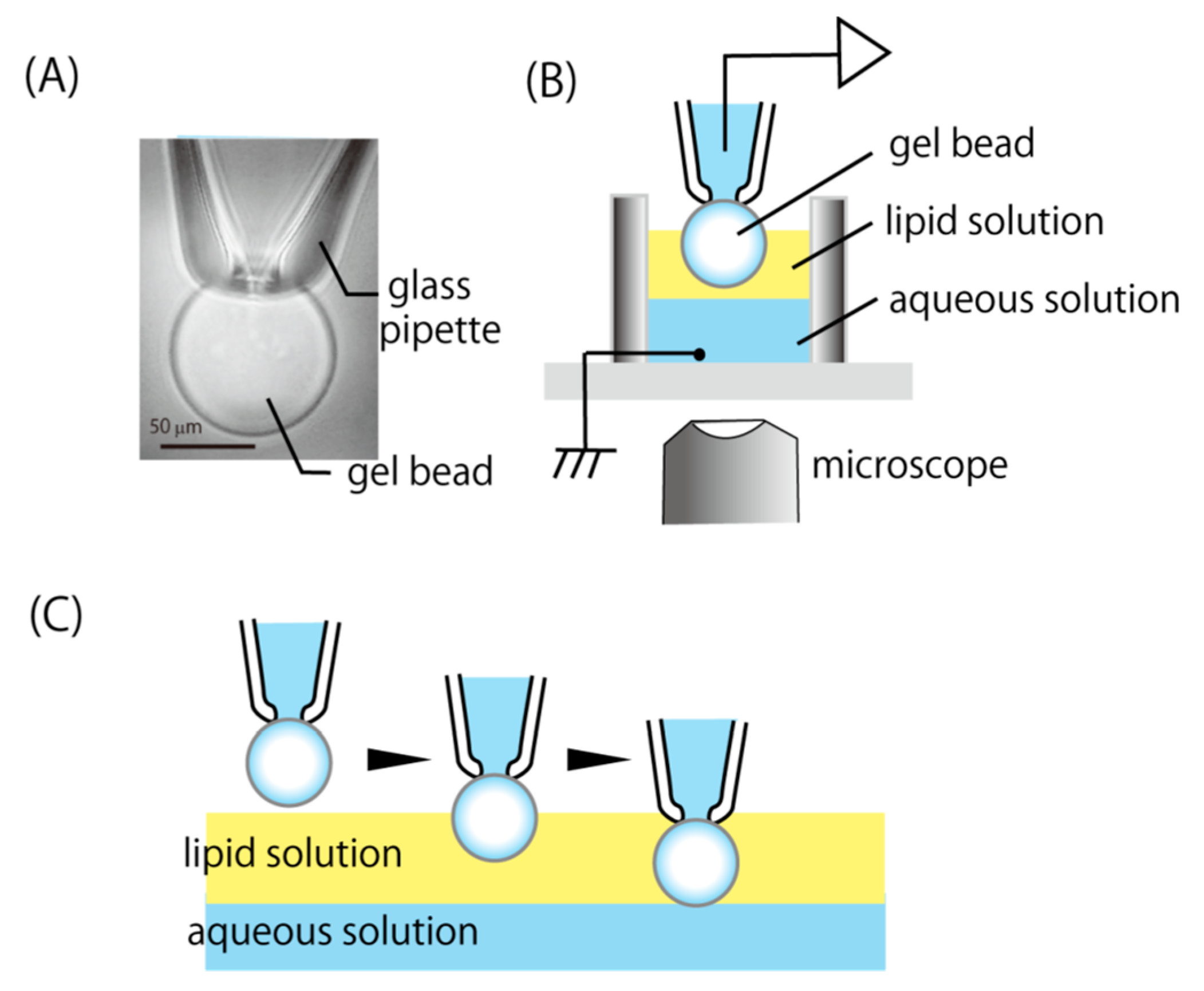 Micromachines 11 01070 g001 Micromachines 11 01070 g001