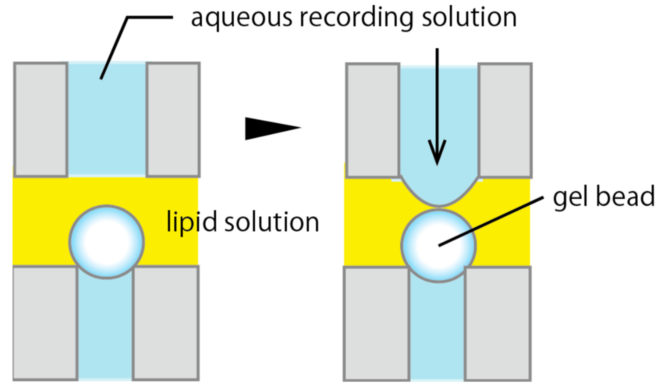 Micromachines 11 01070 g002 Micromachines 11 01070 g002