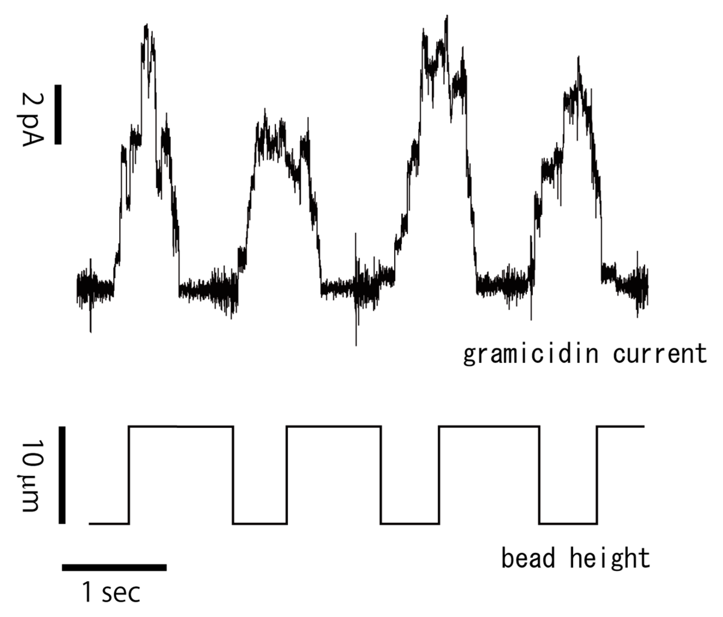 Micromachines 11 01070 g003 Micromachines 11 01070 g003