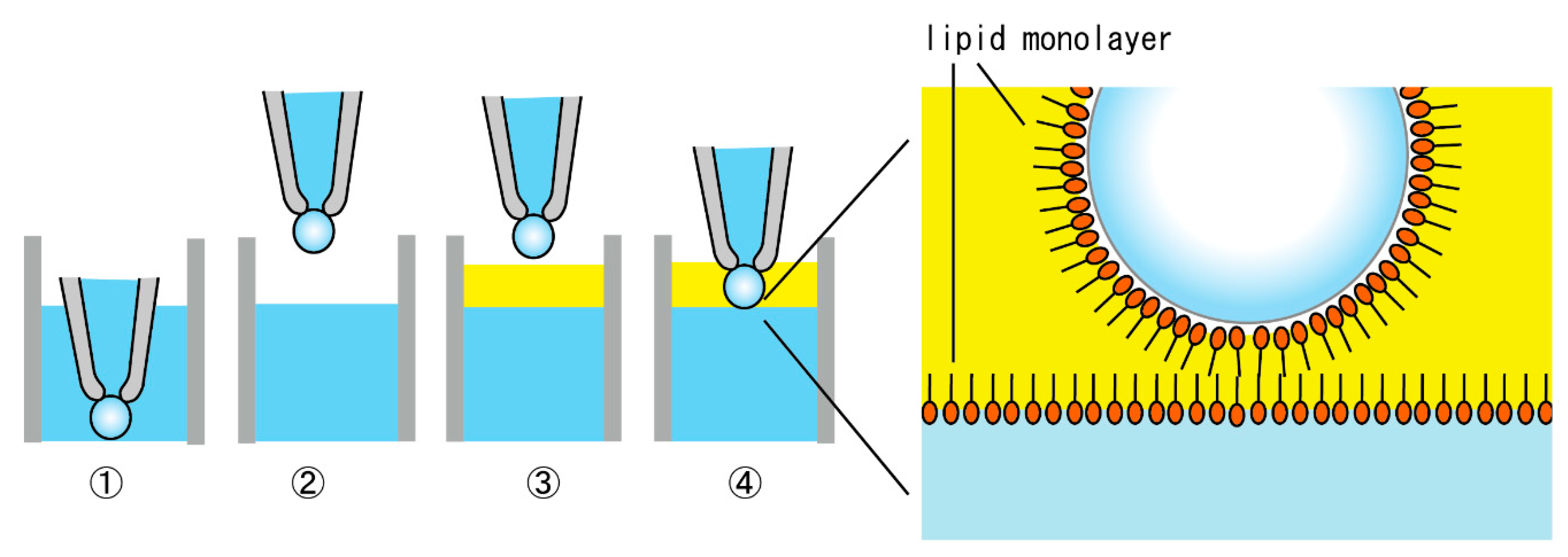 Micromachines 11 01070 g0a2 Micromachines 11 01070 g0a2