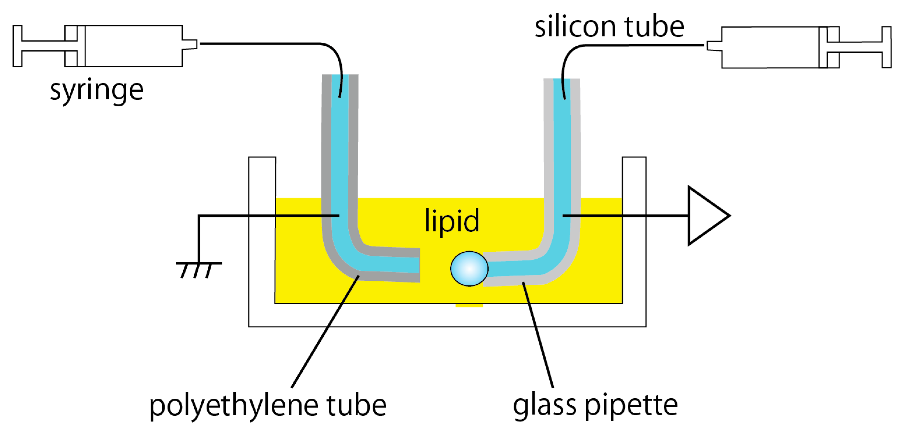 Micromachines 11 01070 g0a3 Micromachines 11 01070 g0a3