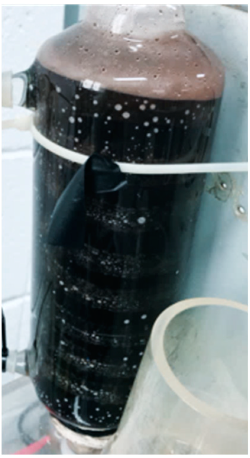 Micromachines 11 01078 g014