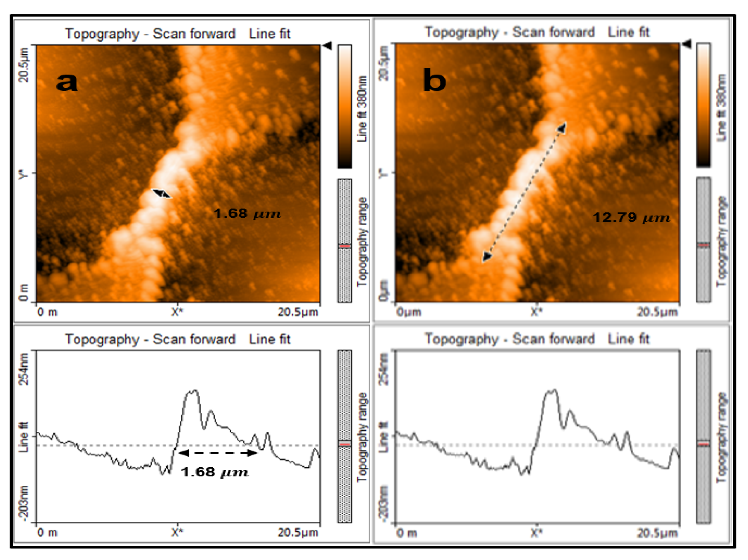 Micromachines 11 01088 g002