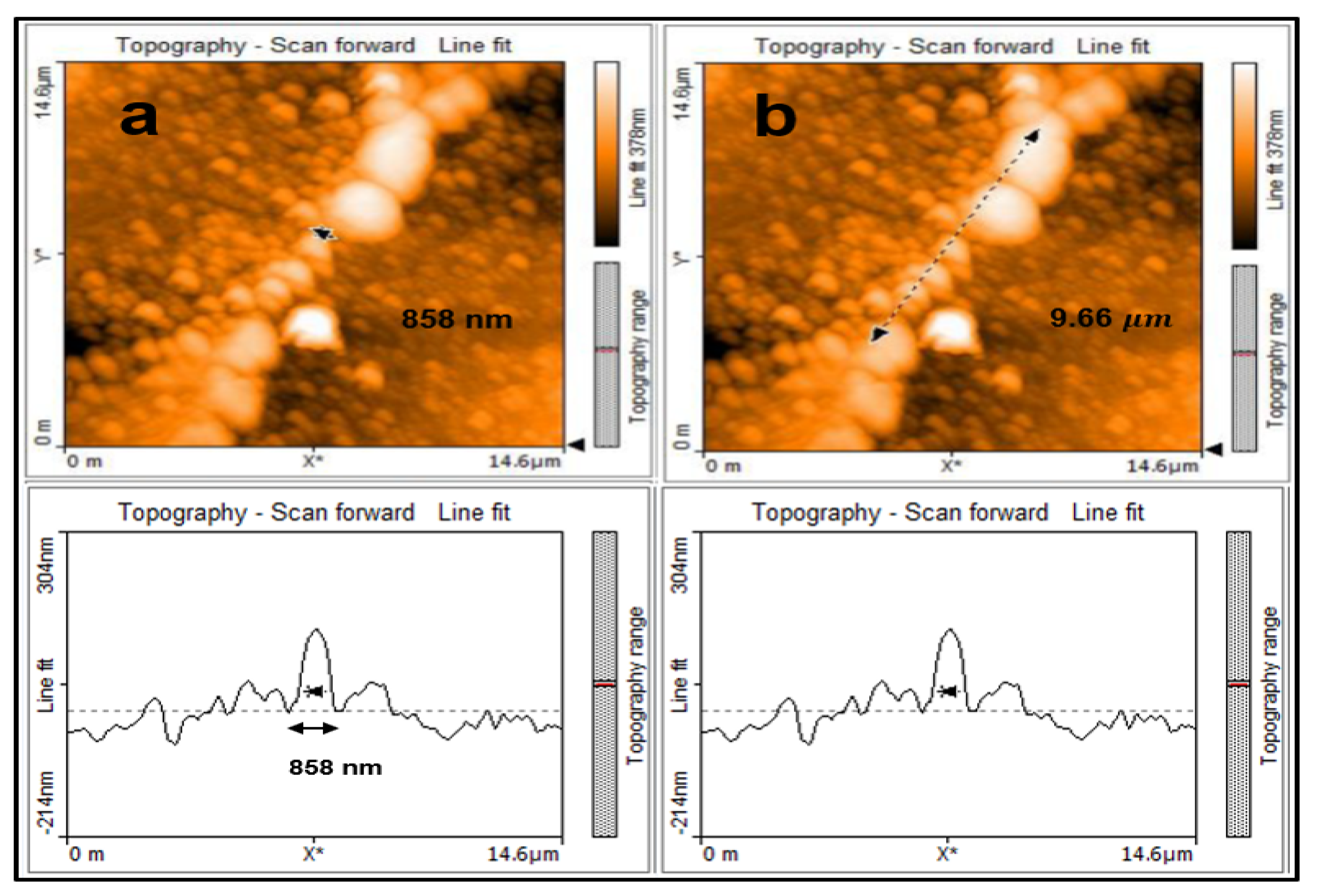 Micromachines 11 01088 g005