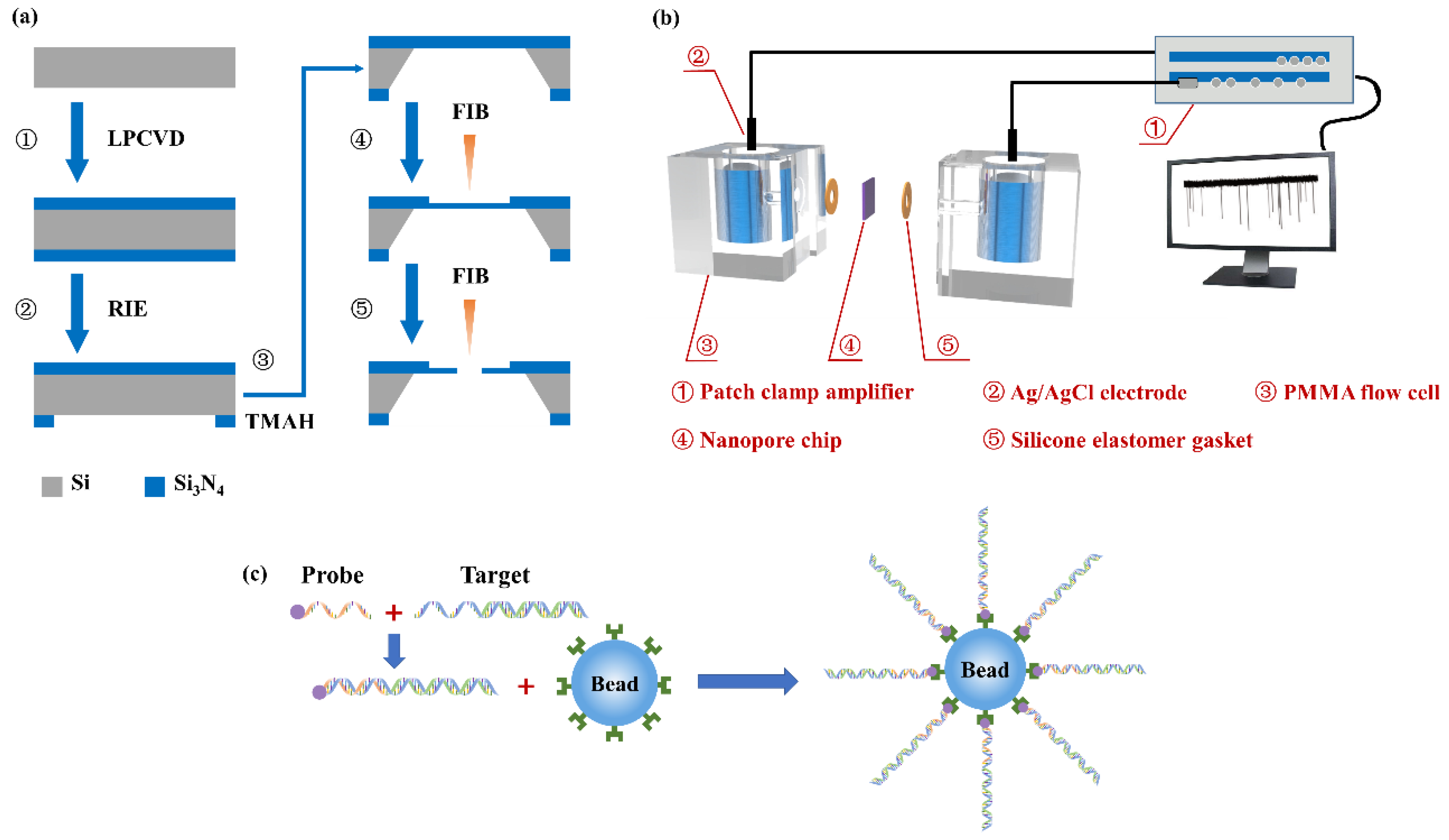 Micromachines 11 01097 g001