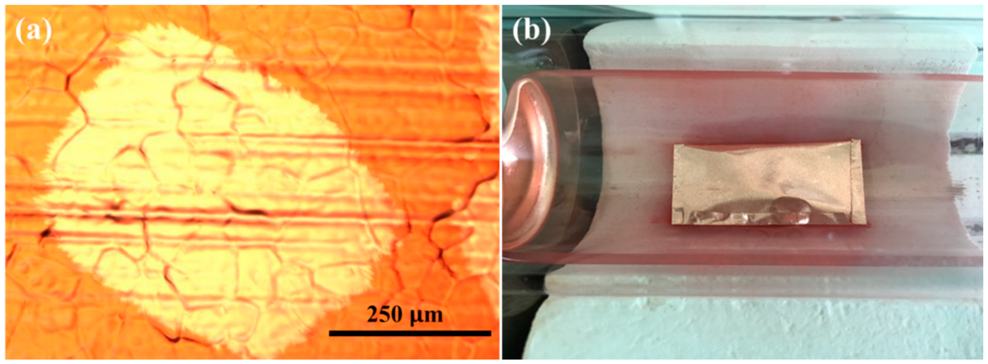 Micromachines 11 01101 g003 Micromachines 11 01101 g003