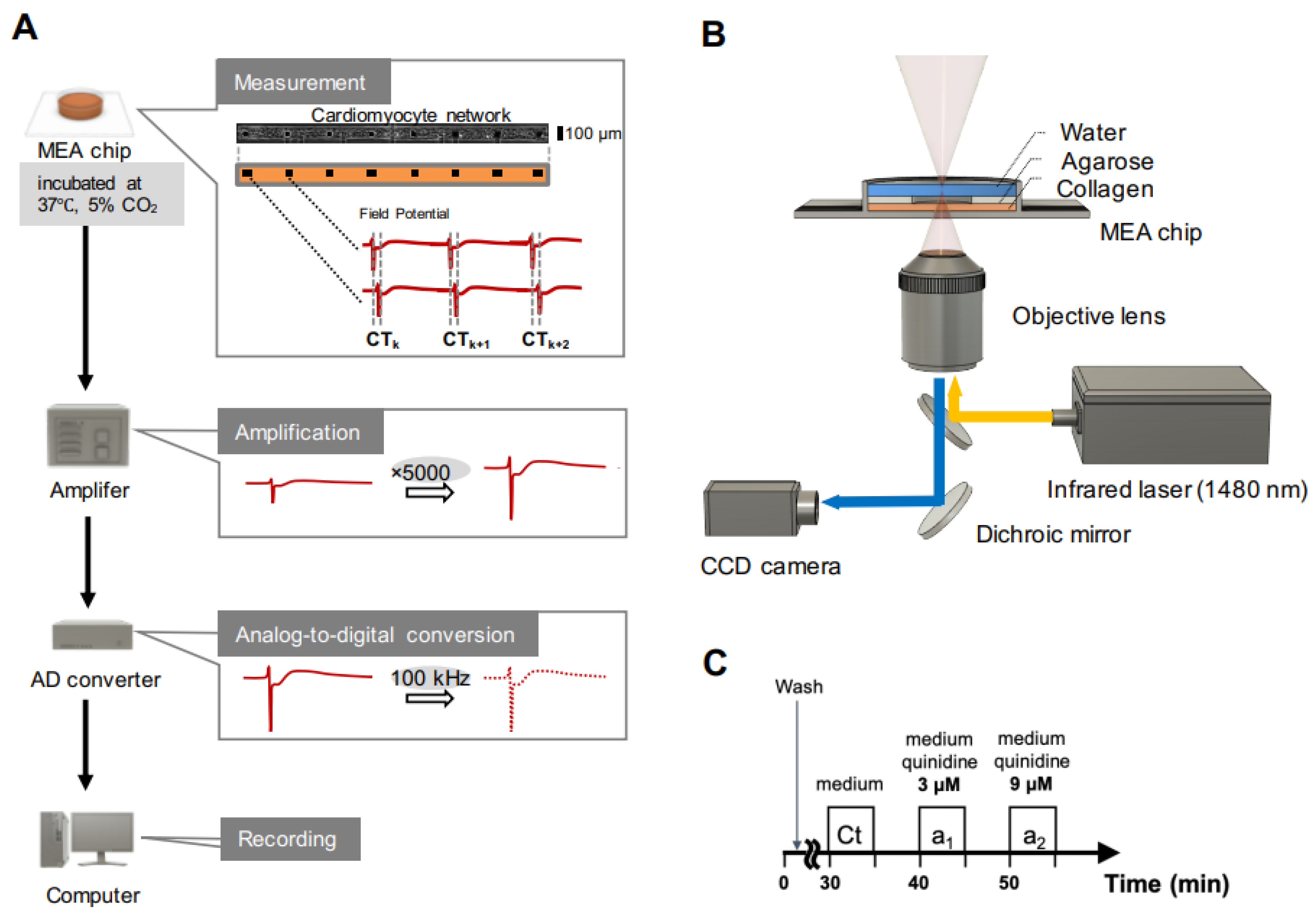 Micromachines 11 01105 g001