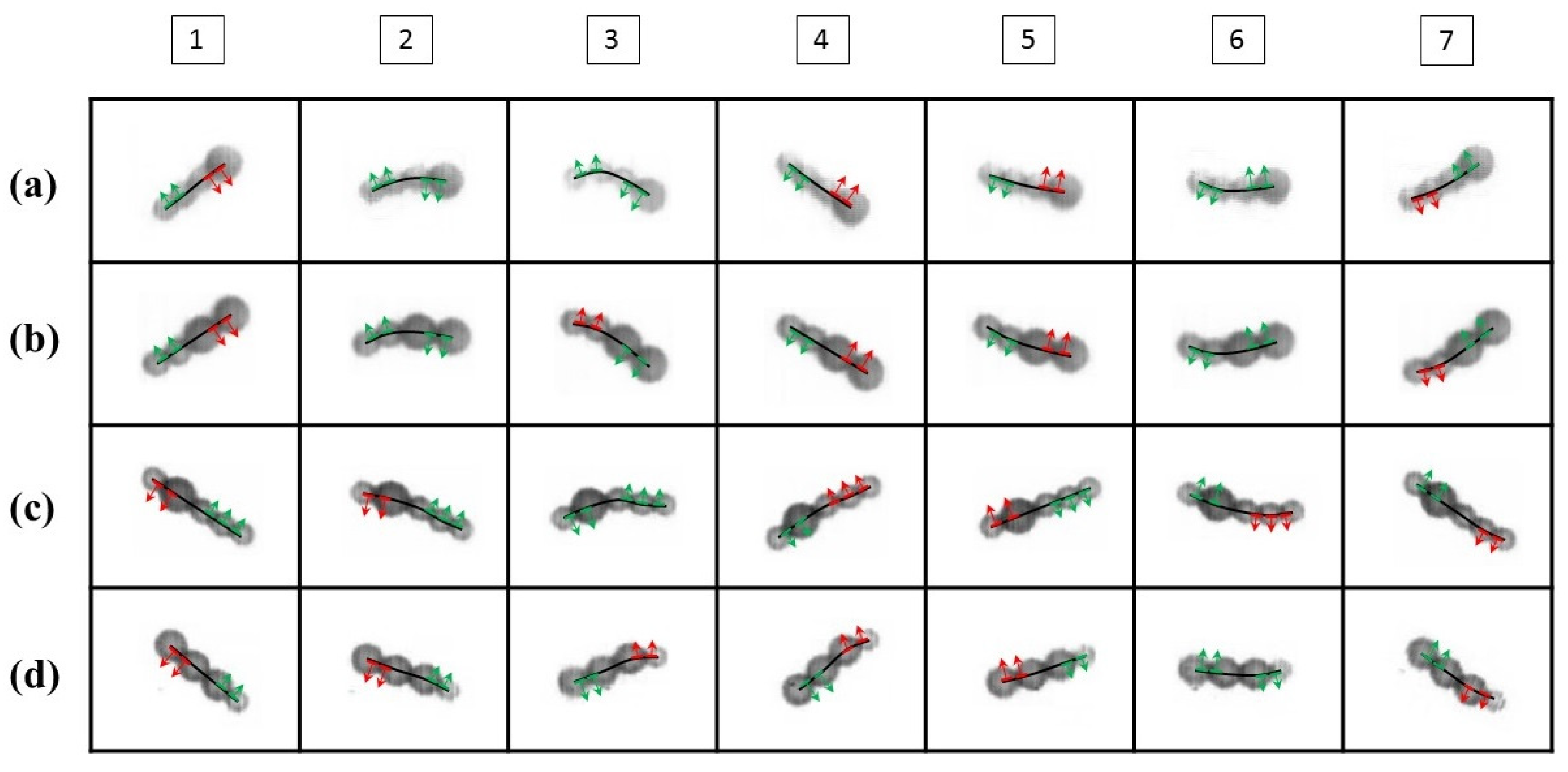 Micromachines 11 01107 g006