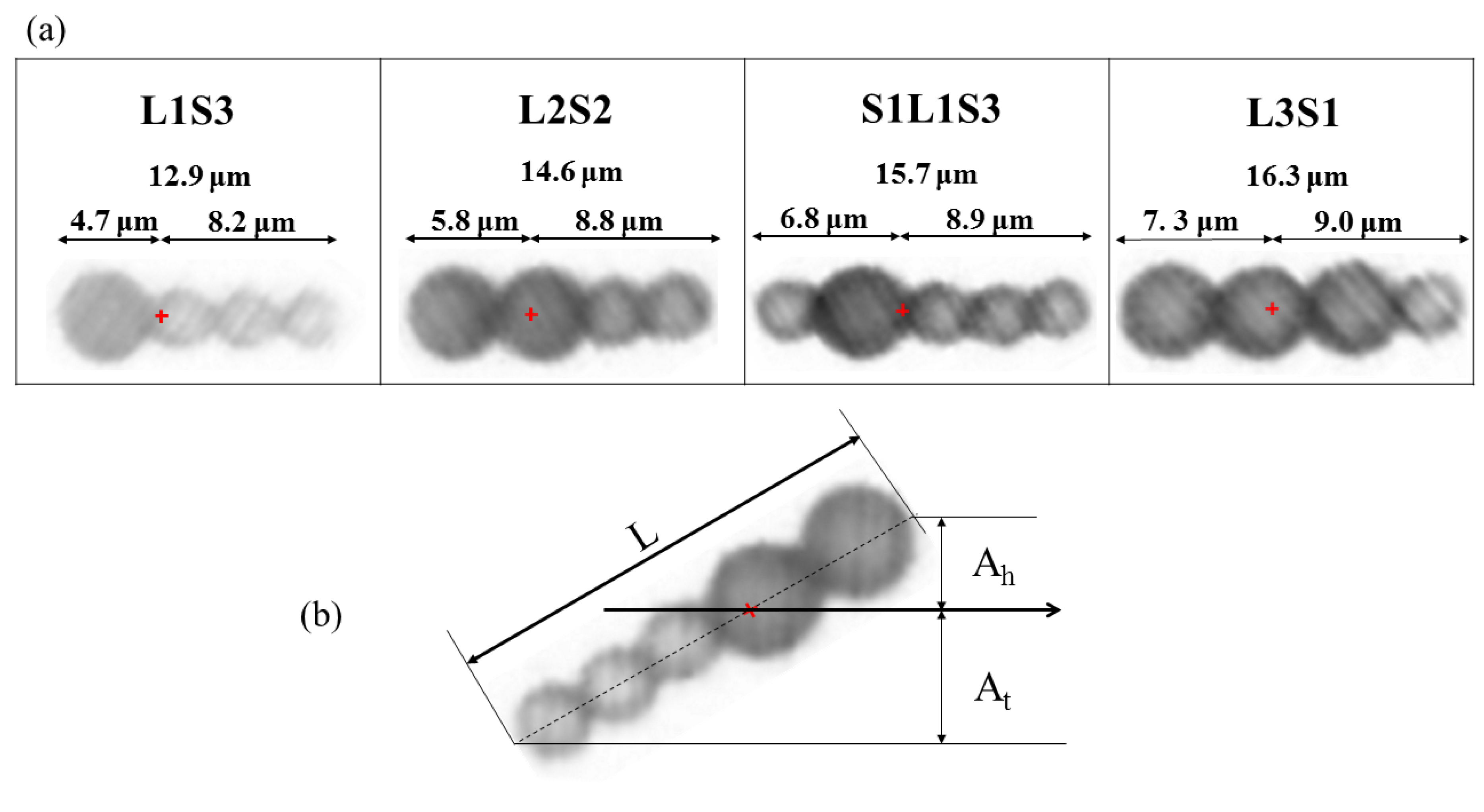 Micromachines 11 01107 g010