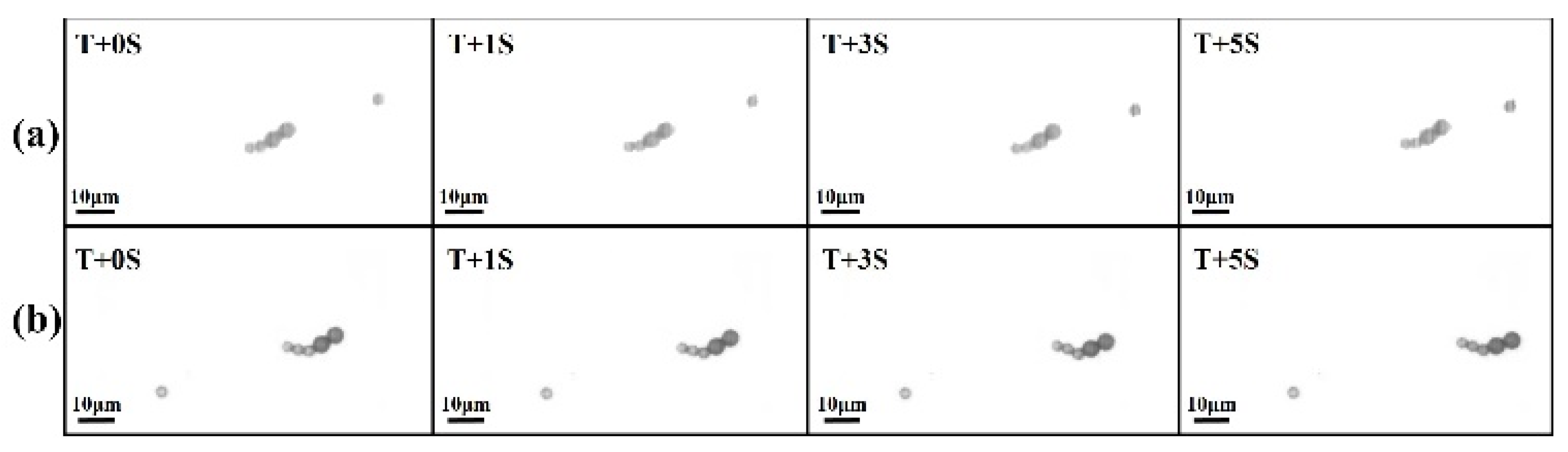 Micromachines 11 01107 g011