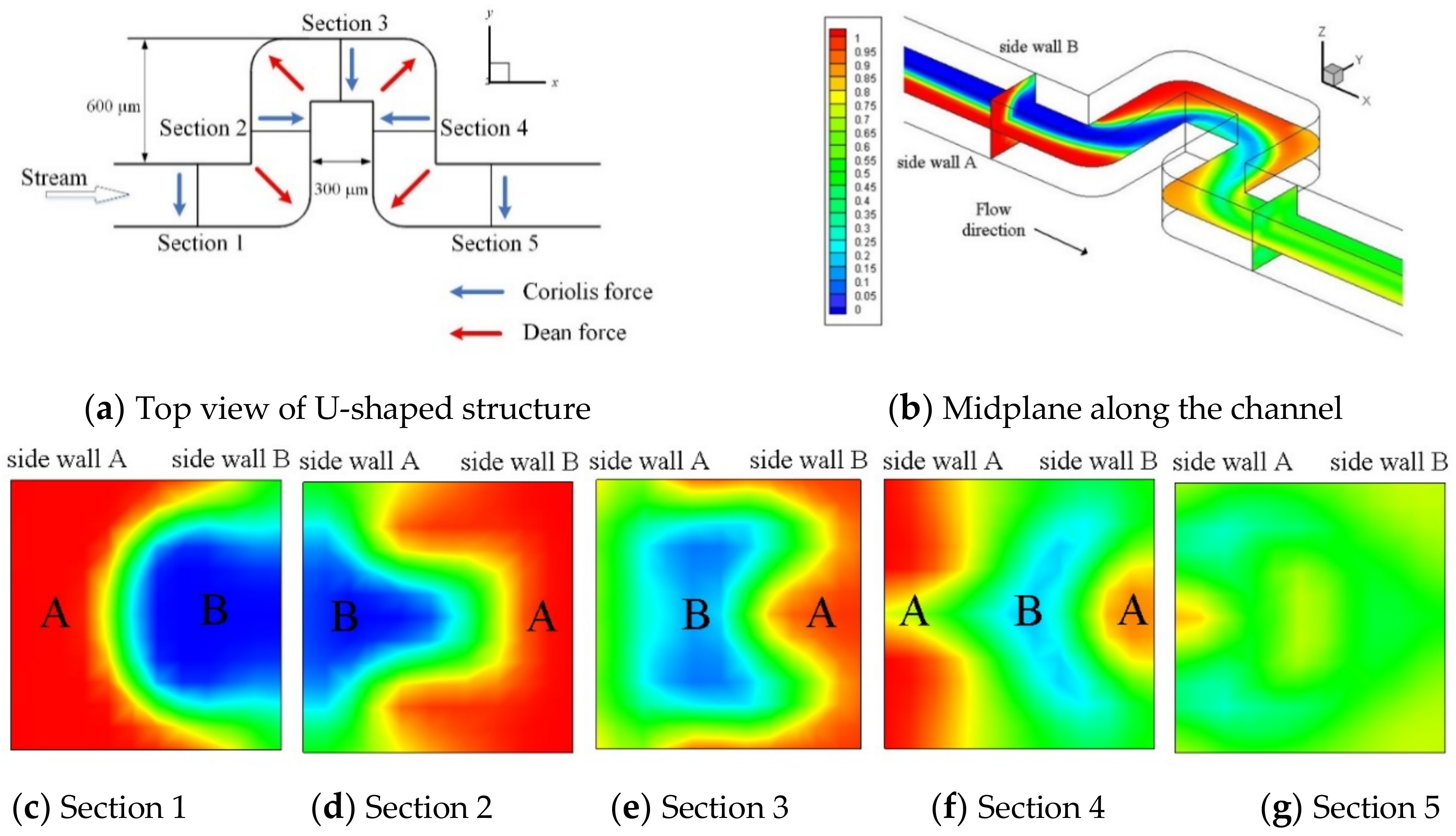 Micromachines 11 01110 g002