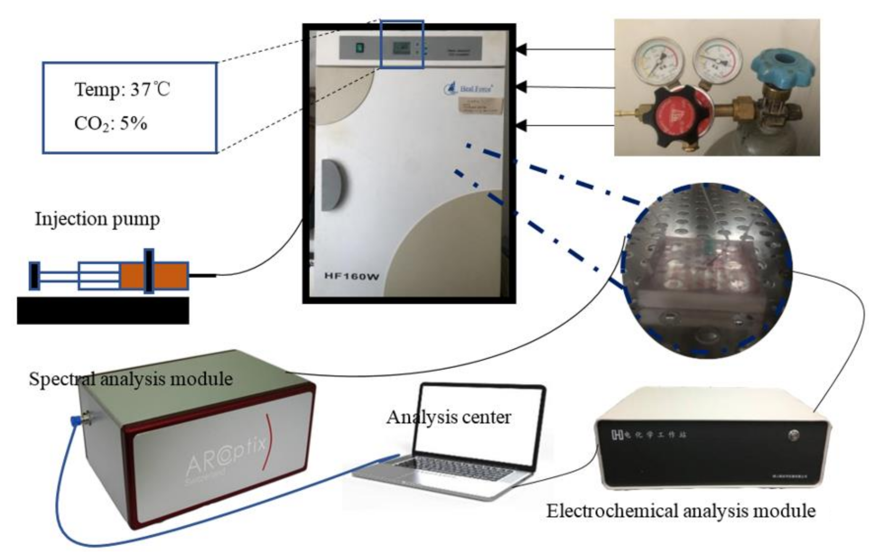 Micromachines 11 01118 g002 Micromachines 11 01118 g002