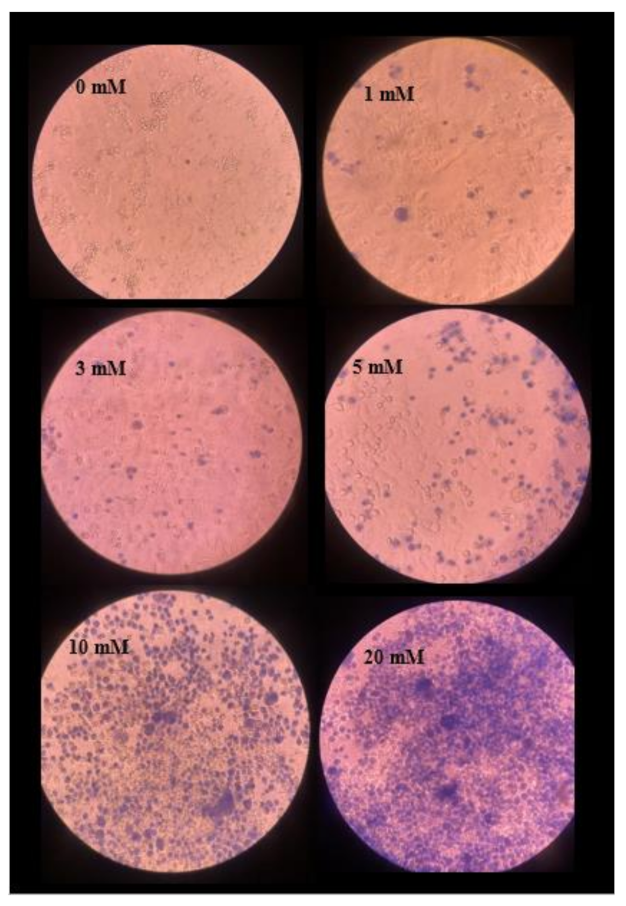 Micromachines 11 01118 g009 Micromachines 11 01118 g009